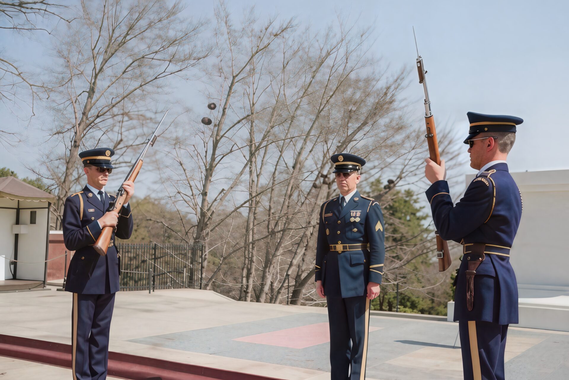 Arlington National Semetary Changing of the Guard 1976