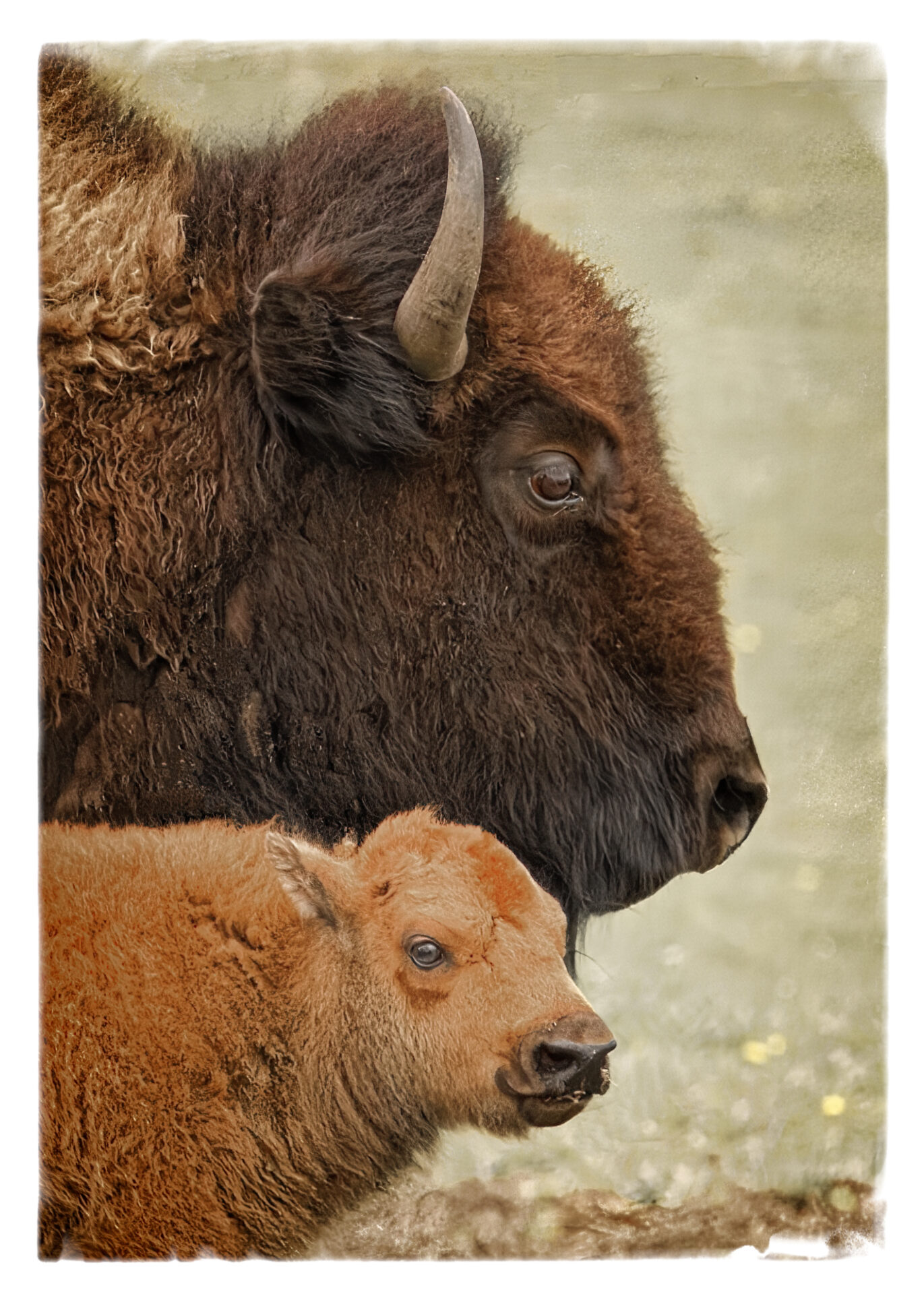 Protective Mom