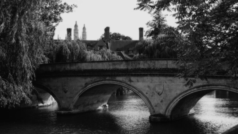 Dreamy Monochrome Presets