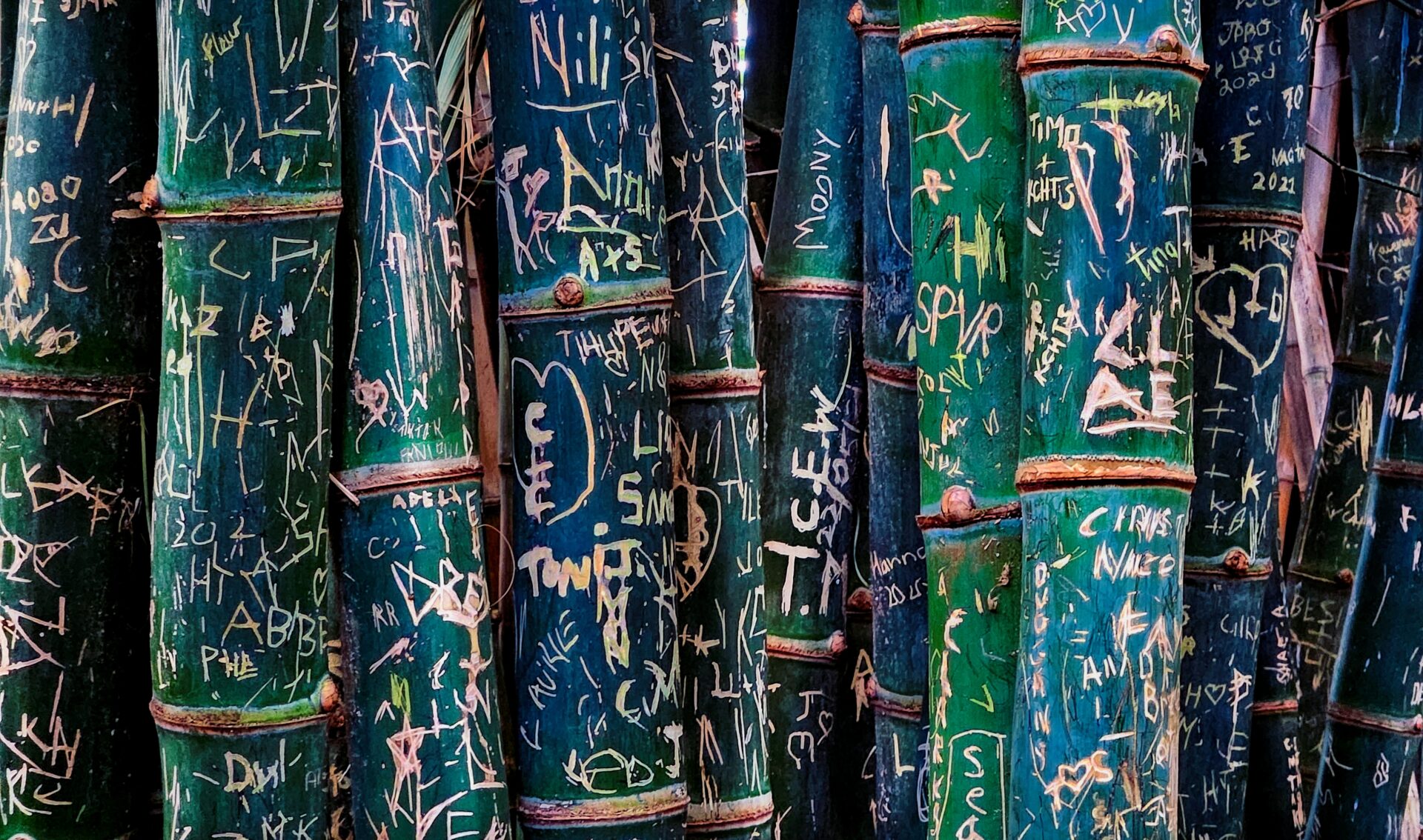 Tree Tattoos