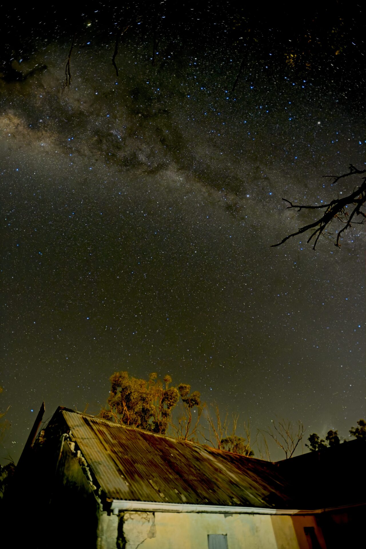 Galactic homestead