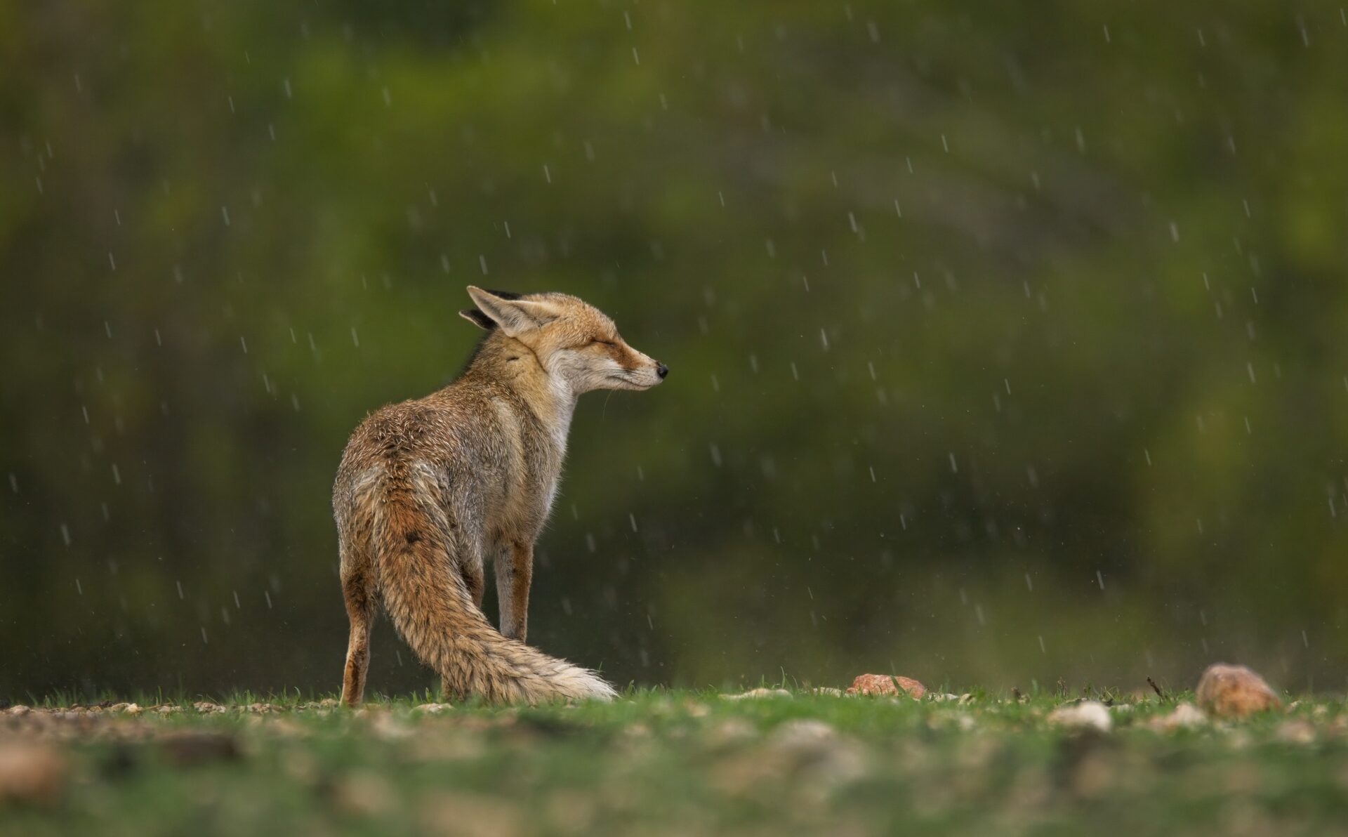 Some feel the rain, others just get wet.