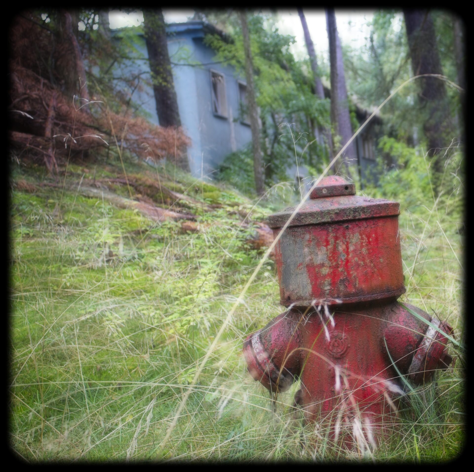 Lost Hydrant
