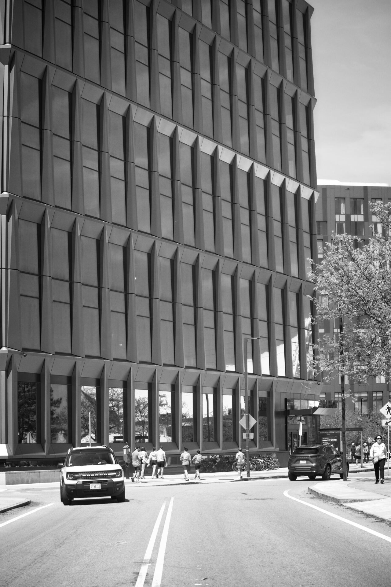 Downtown Boston in late Spring