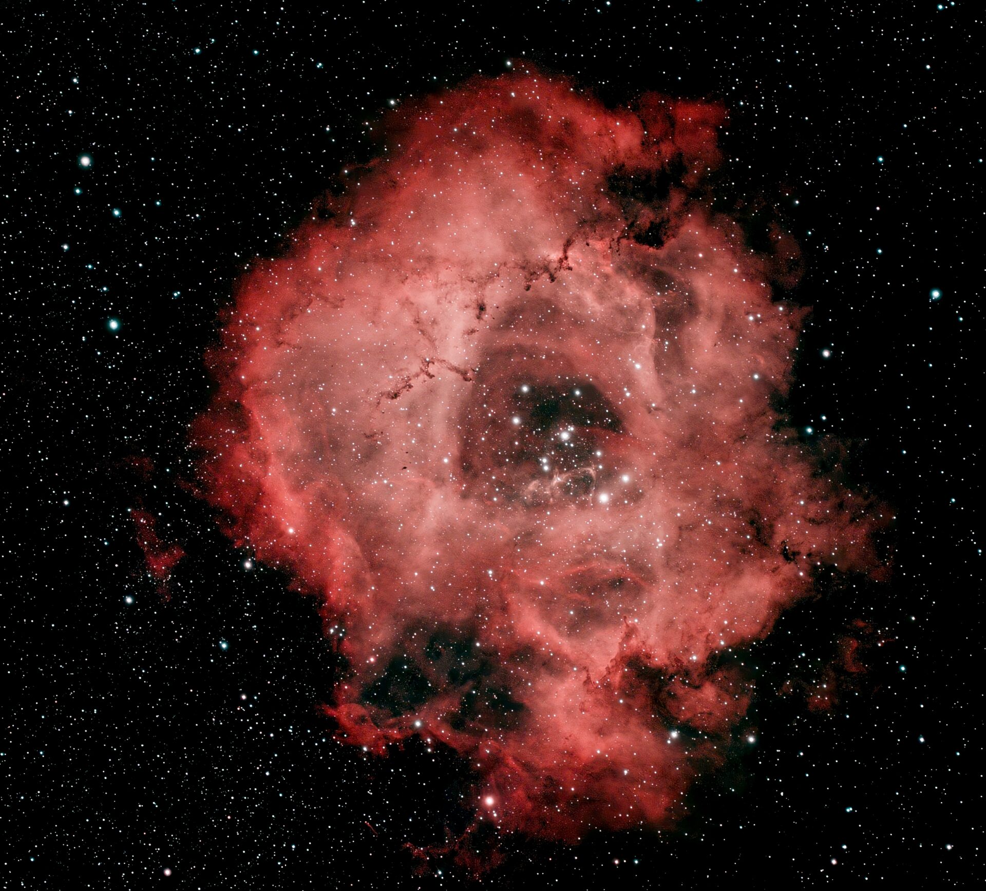 Rosette Nebula