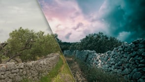 Best Practices for Sky Swapping in Landscapes