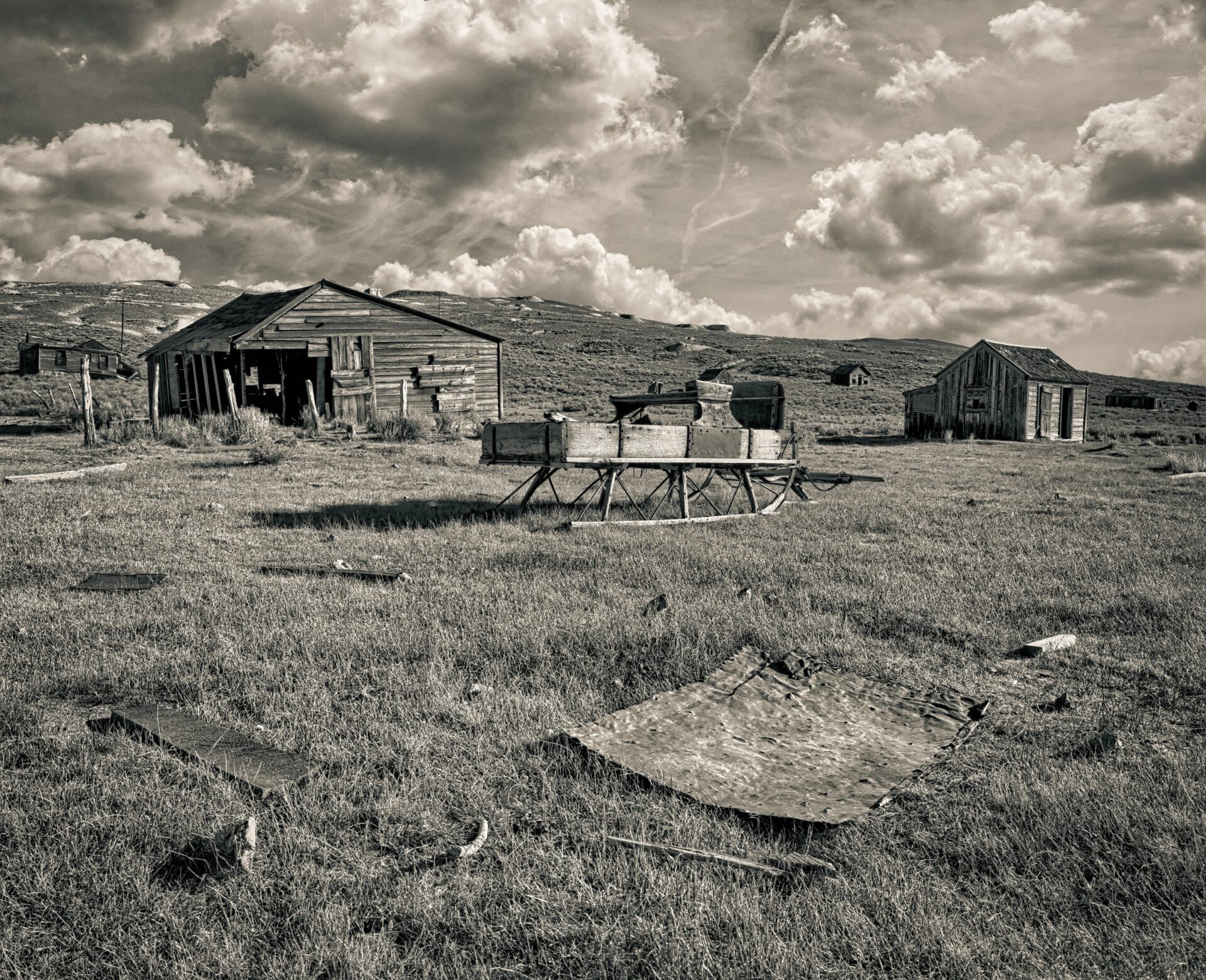 Bodie Sleigh