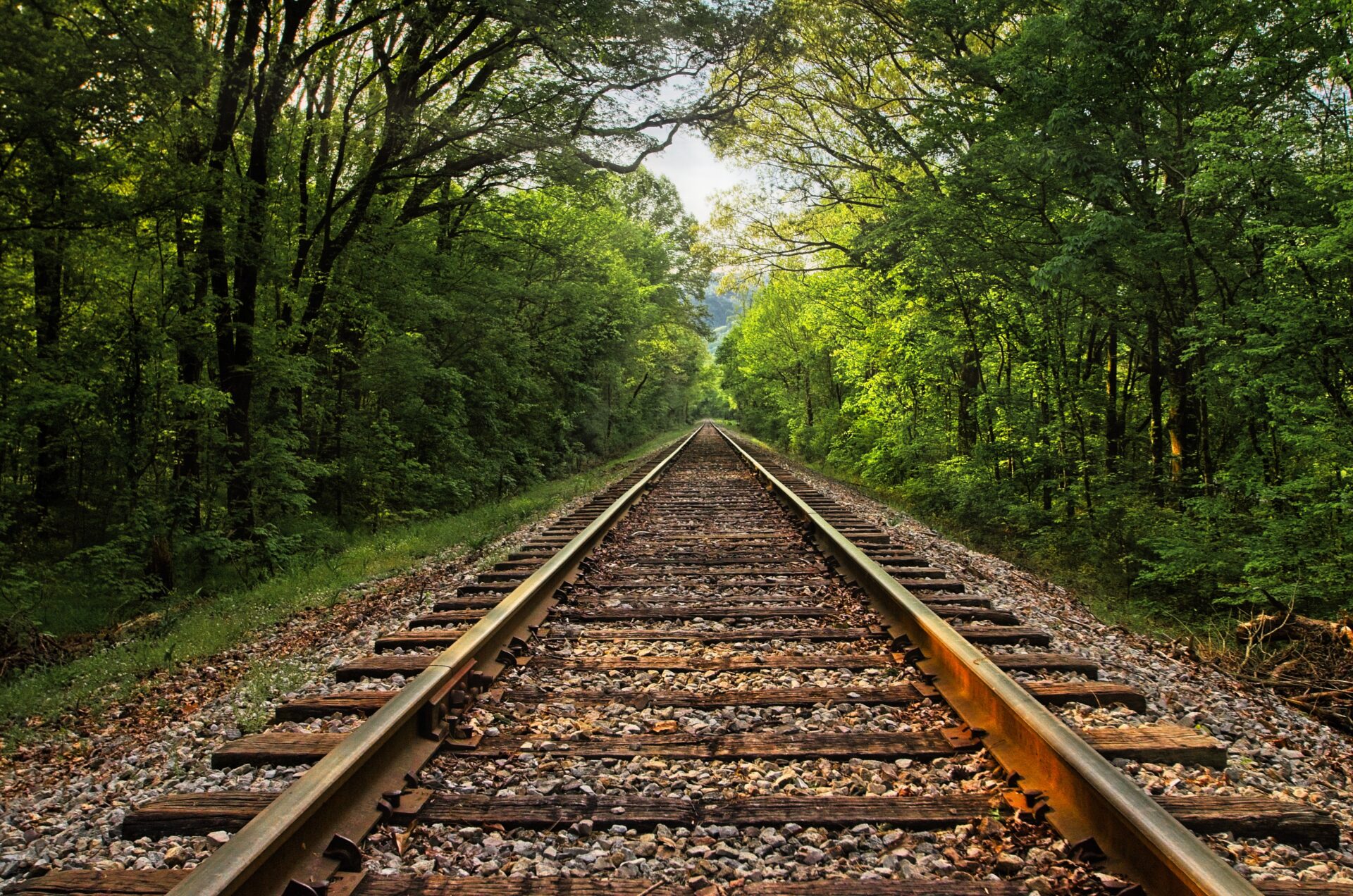 Ocoee Railroad Track