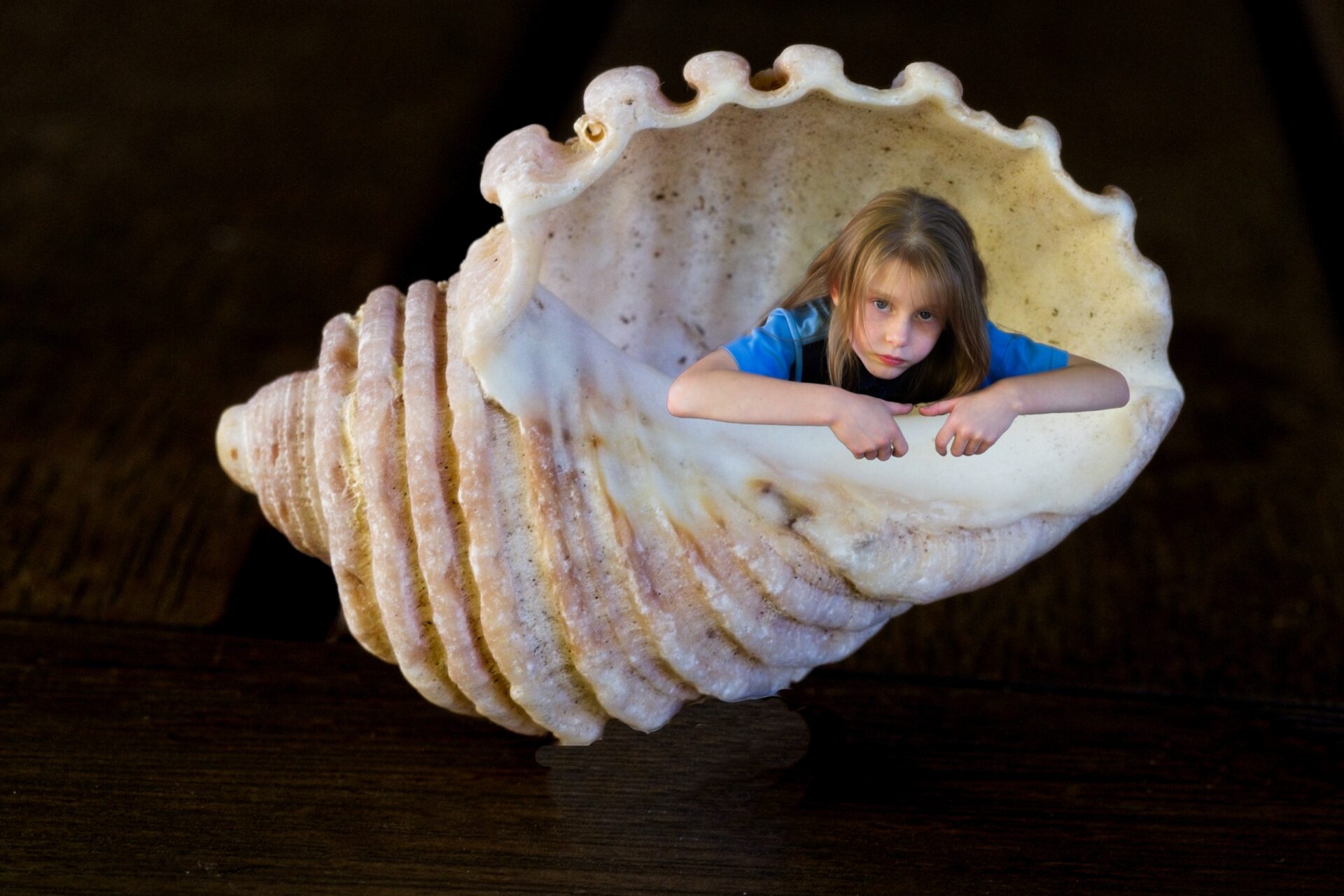 Coming Out of Her Shell