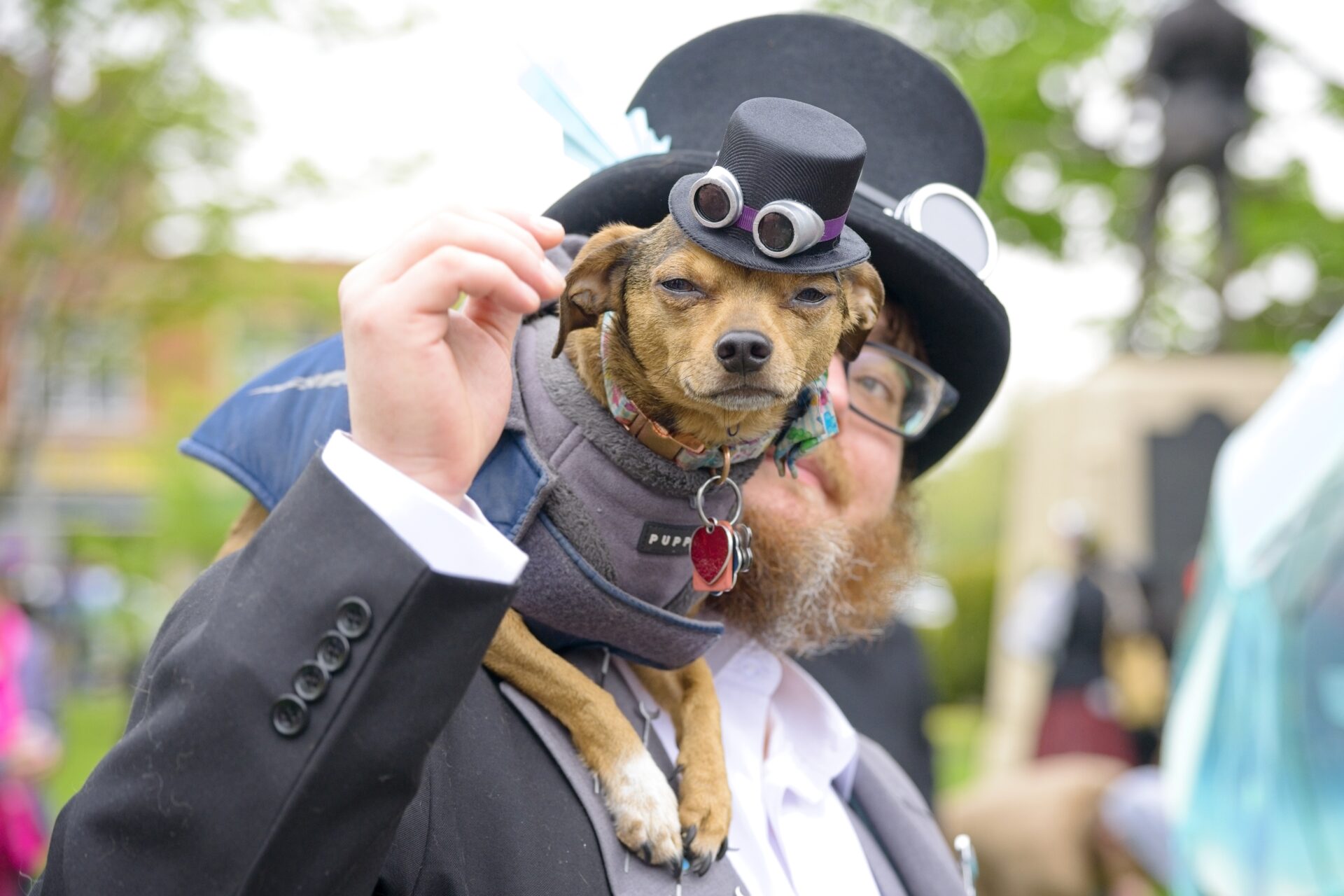 Steampunk Pooch