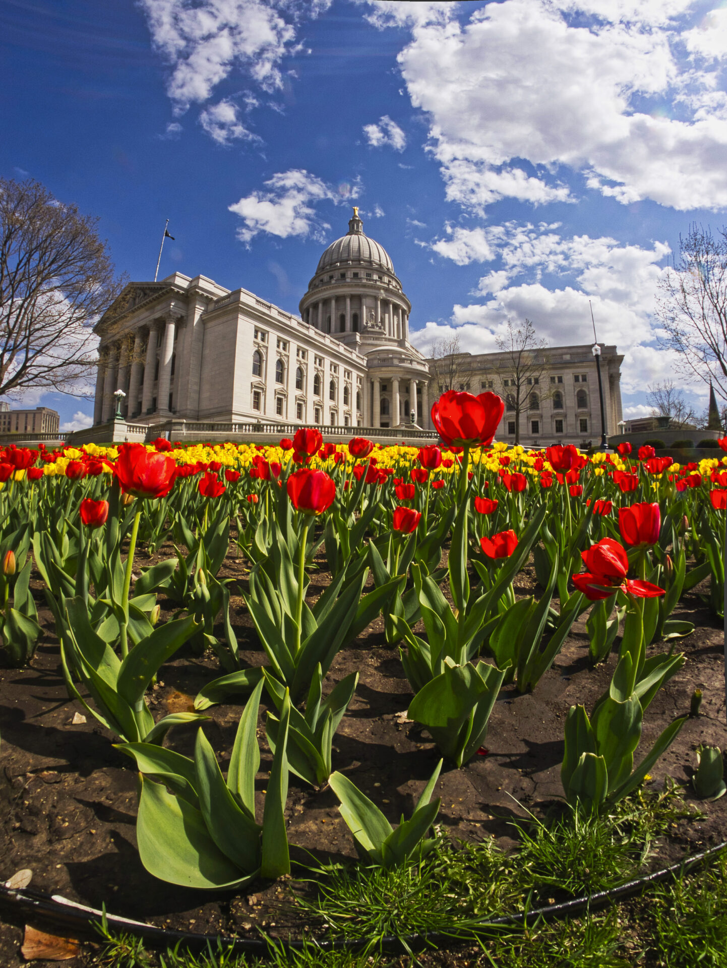 Madison Capitol, WI.