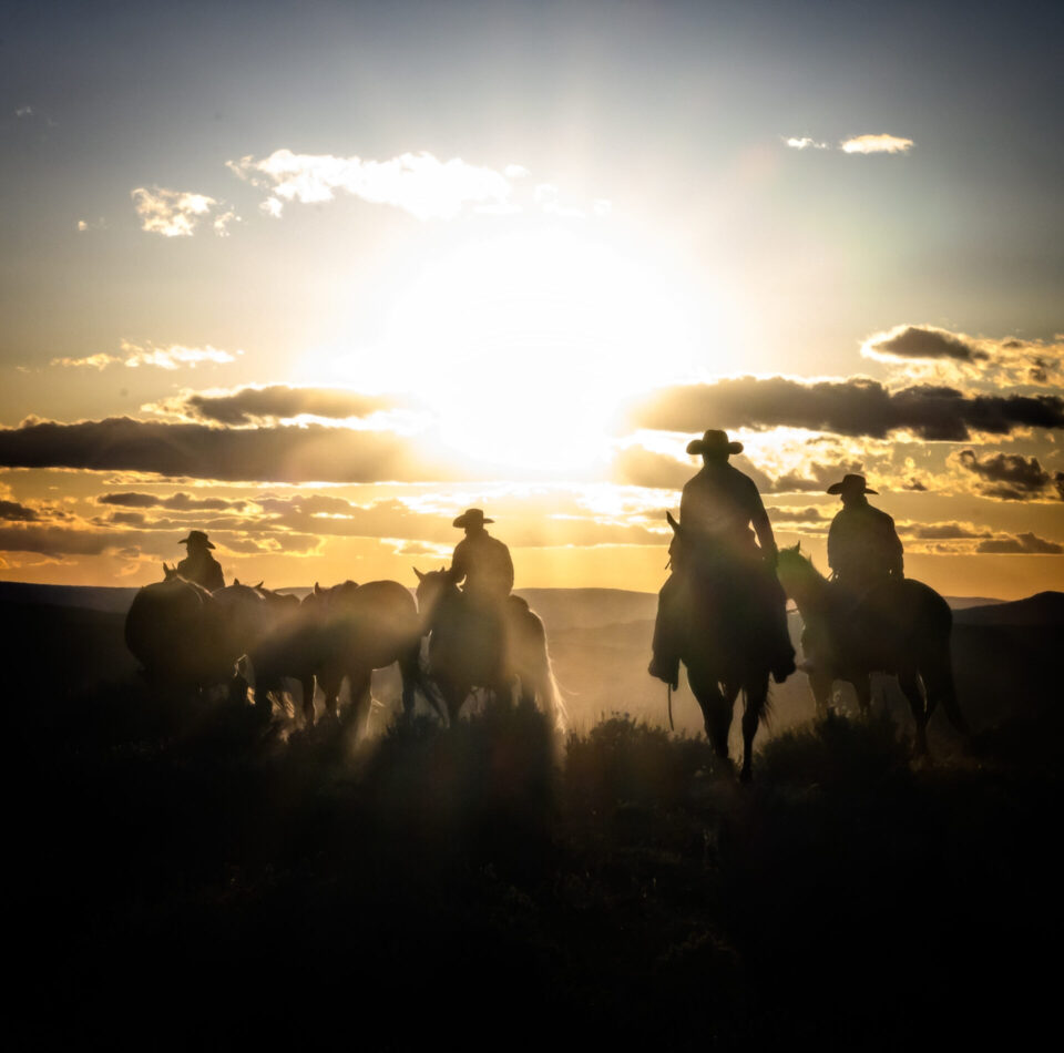Shot at dusk as cowboys rounded up a herd to head back to the ranch, Valerie's image distills the American West into a single frame — silhouetted figures, a richly textured sky, and the kind of quiet drama that can't be staged.