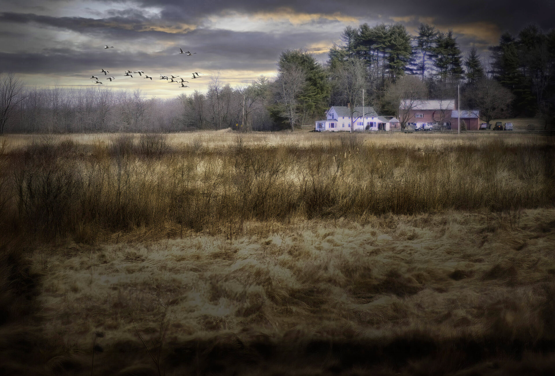 New England Farm