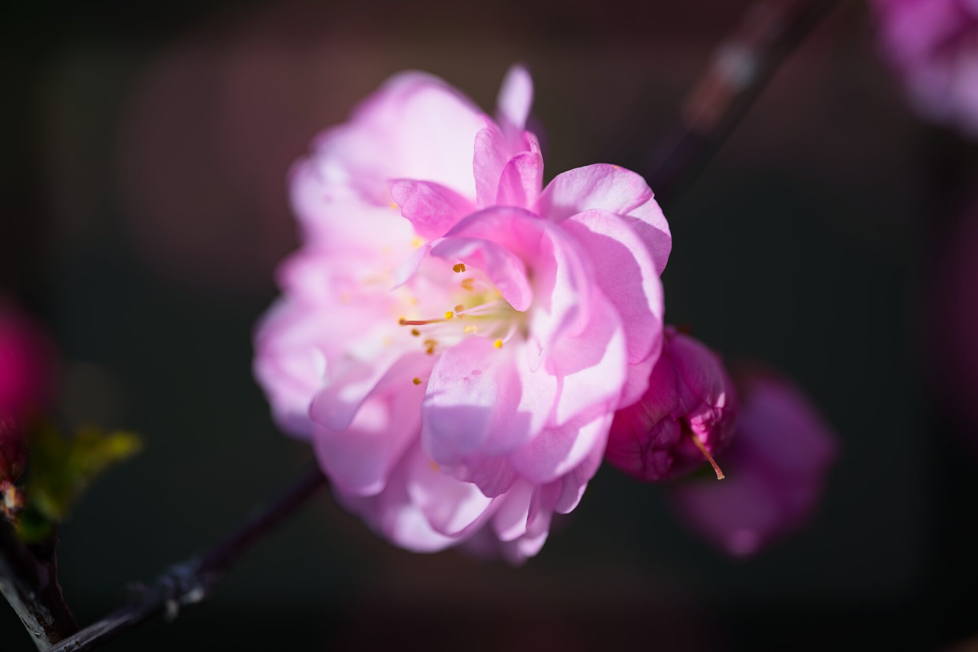 Spring is In the Air