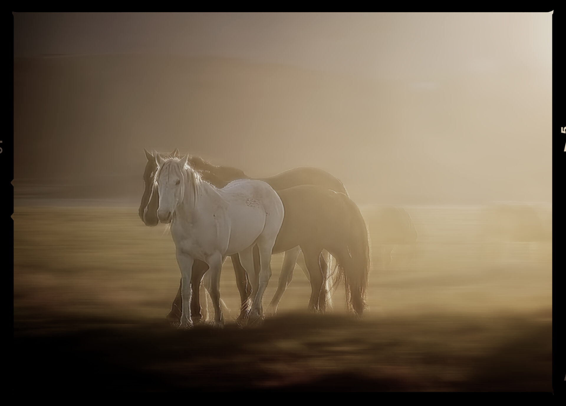 Moarning gathering