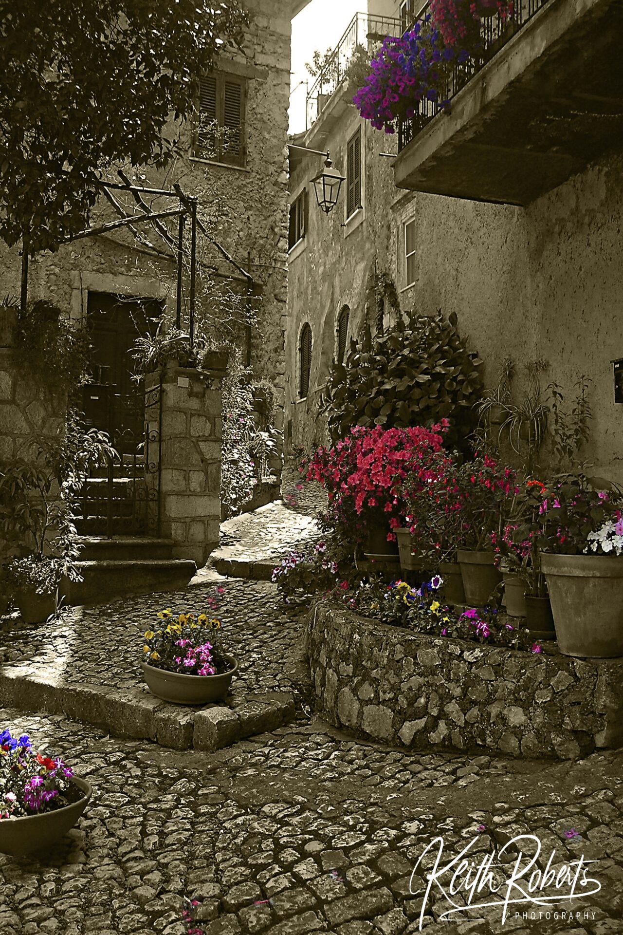 The plaza