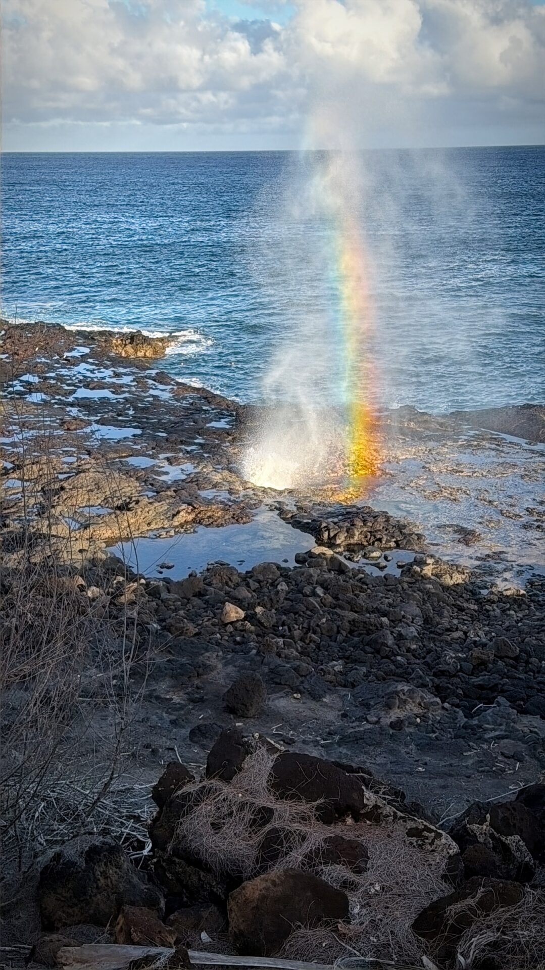 Spouting Horn
