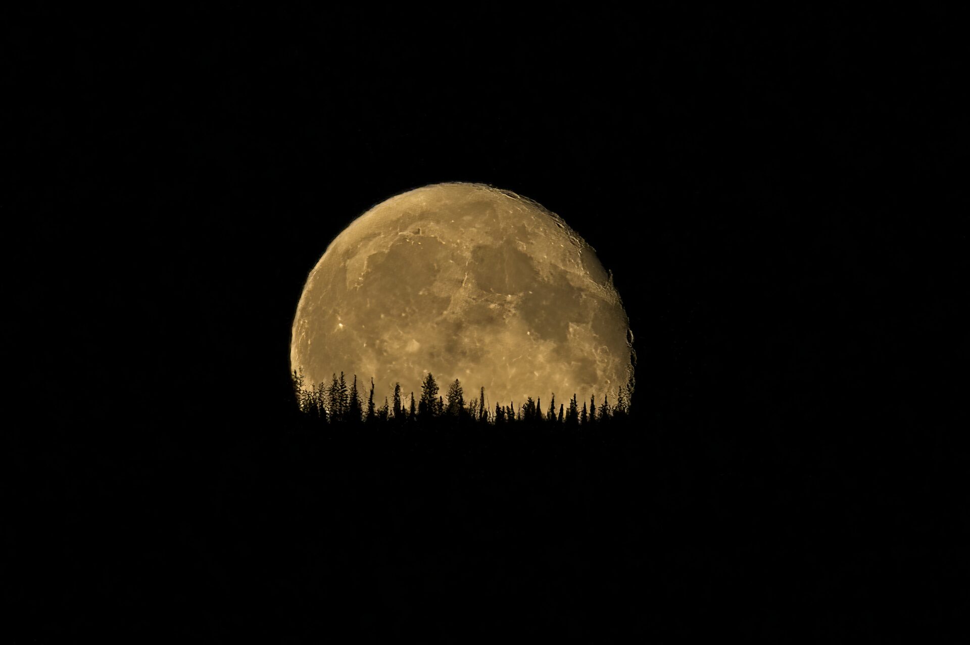 Montana Moonrise