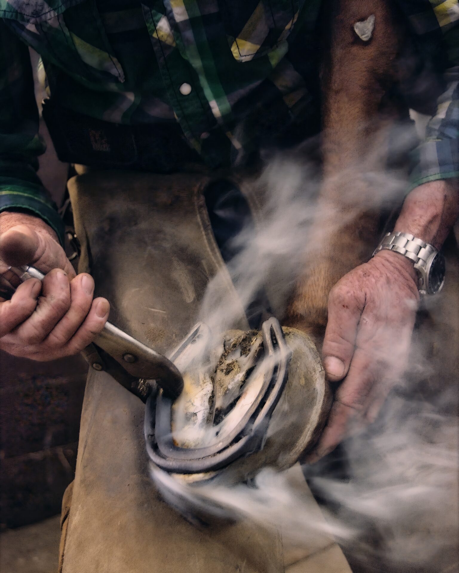 Farrier