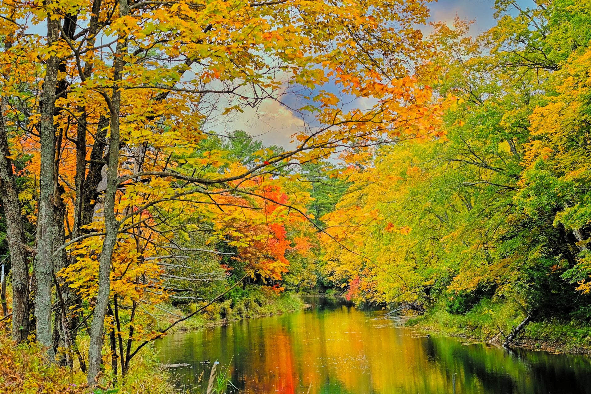 Muskoka Stream