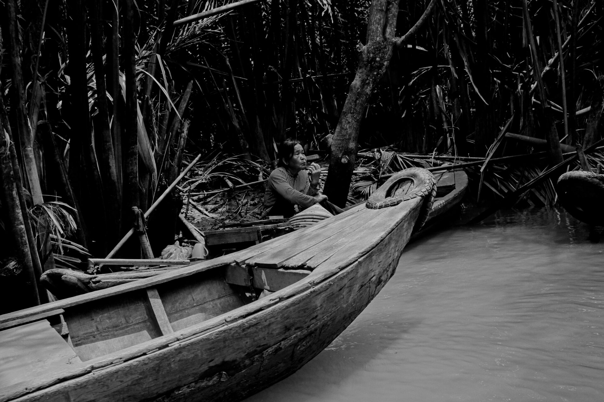 Along the Mekong Delta