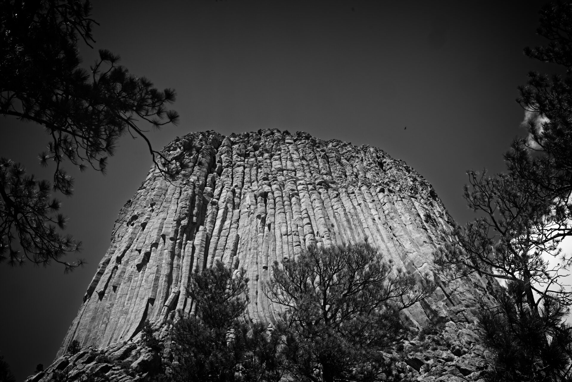 Devil’s Tower