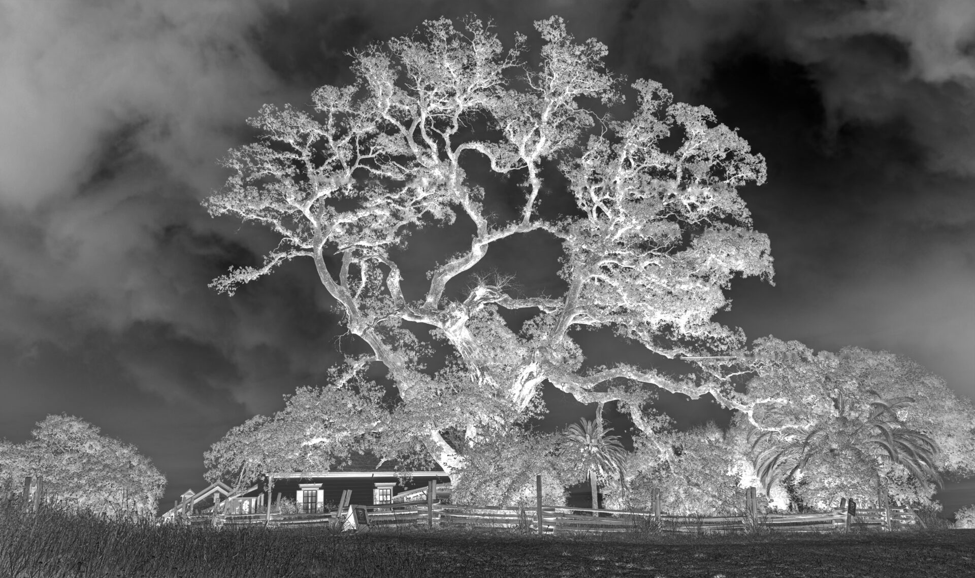 Ghost Ranch