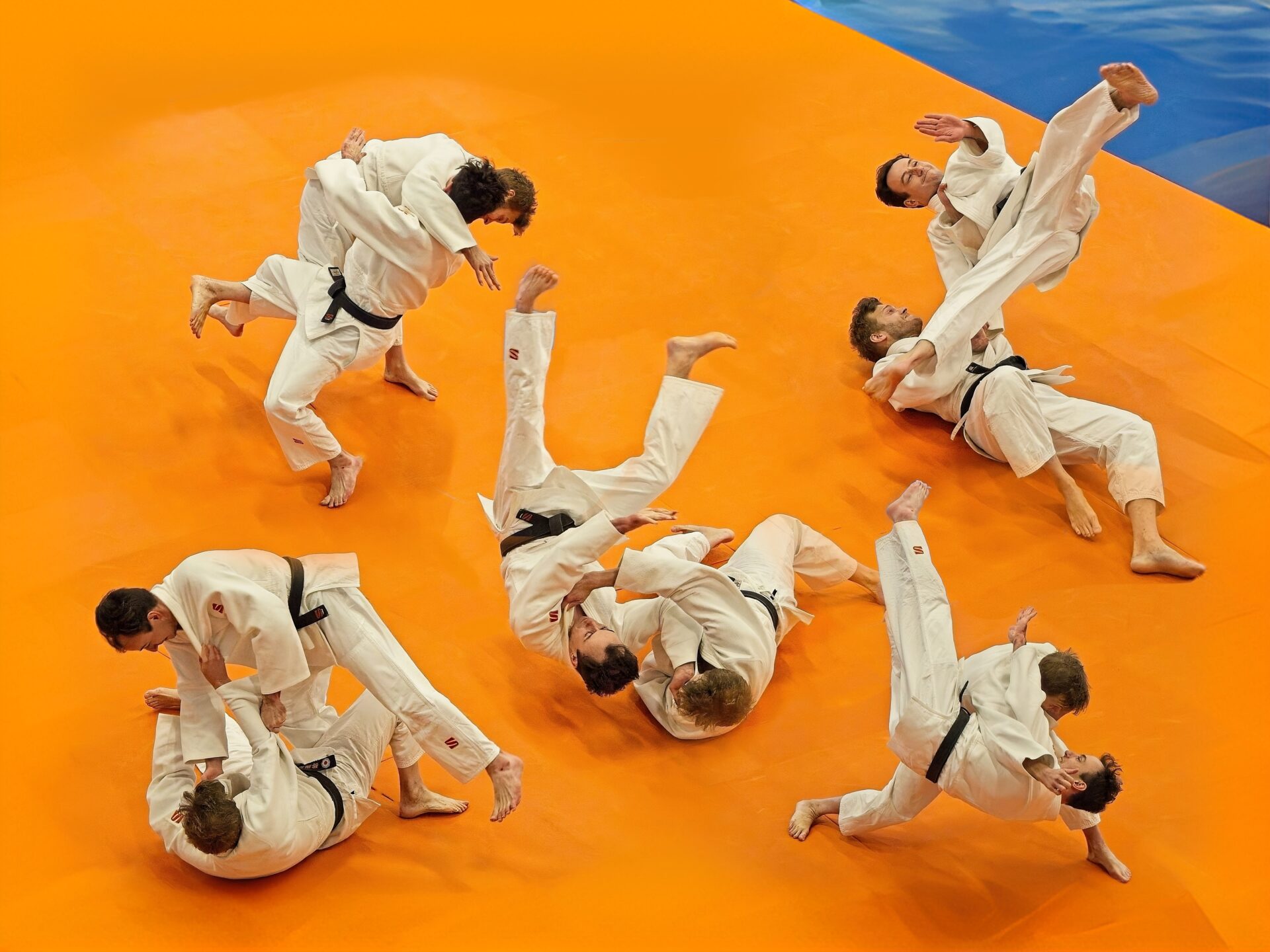 The Art of Judo