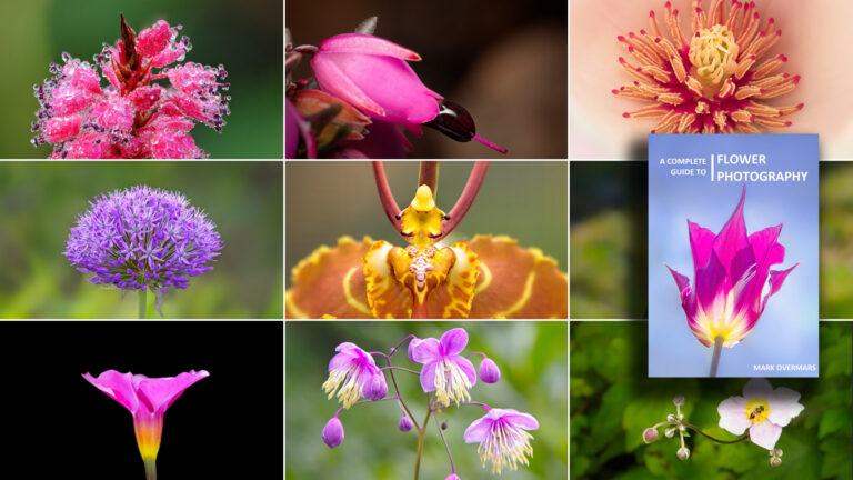 Photographing Flowers: Behind the Lens with Mark Overmars (with Free eBook)