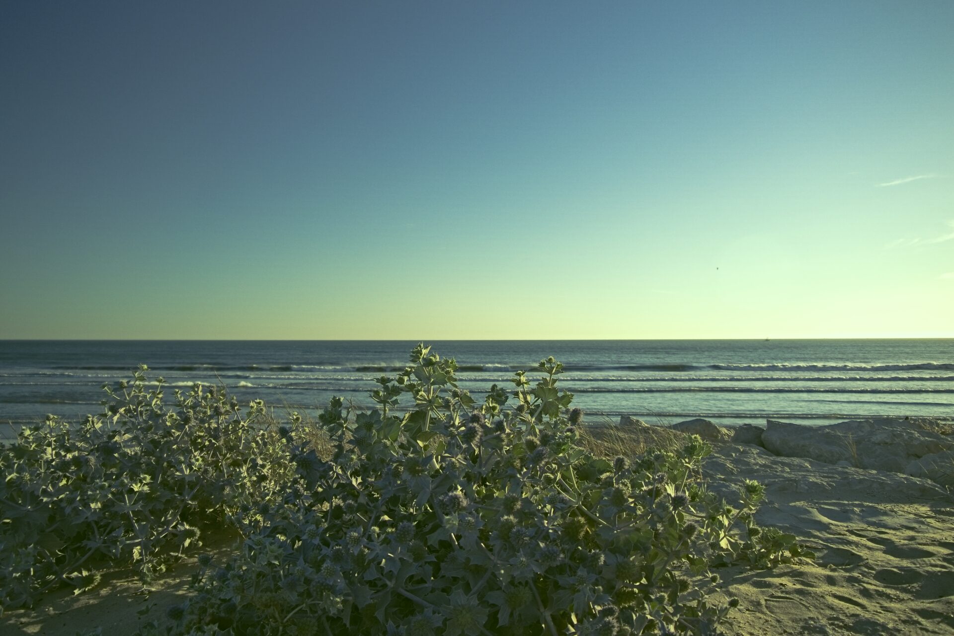 Looking at the Horizon