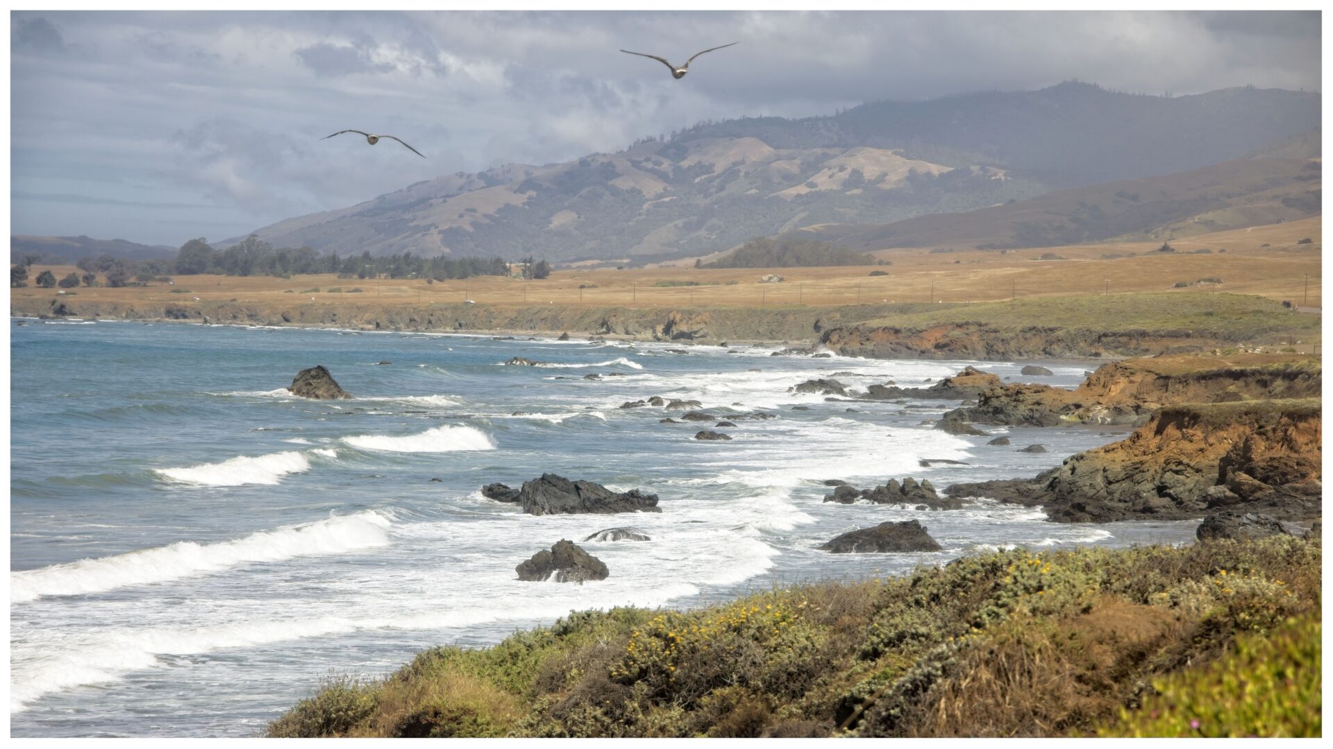 Hearst San Simeon Coast (California)