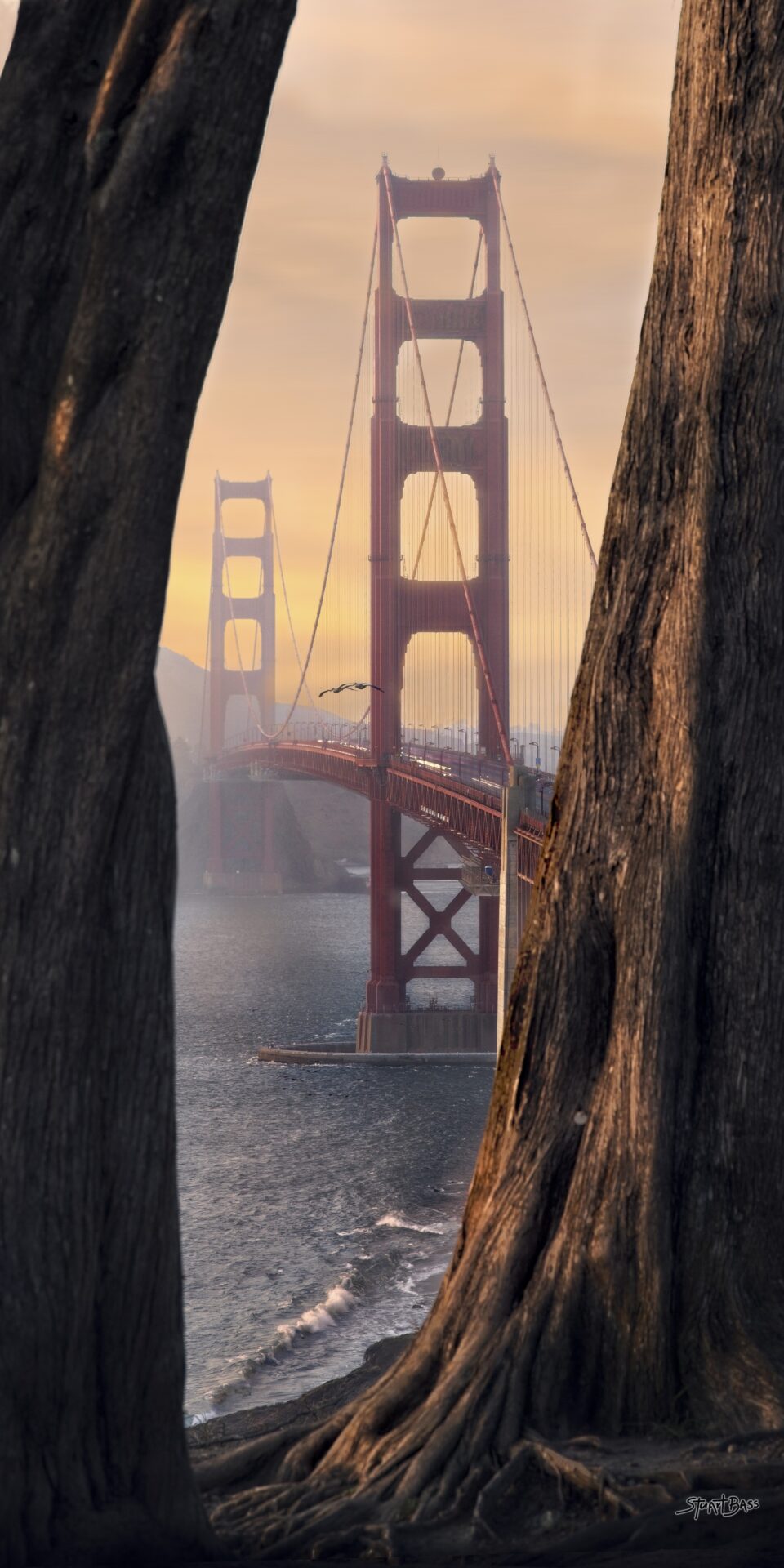 Golden Gate Bridge at Golden Hour