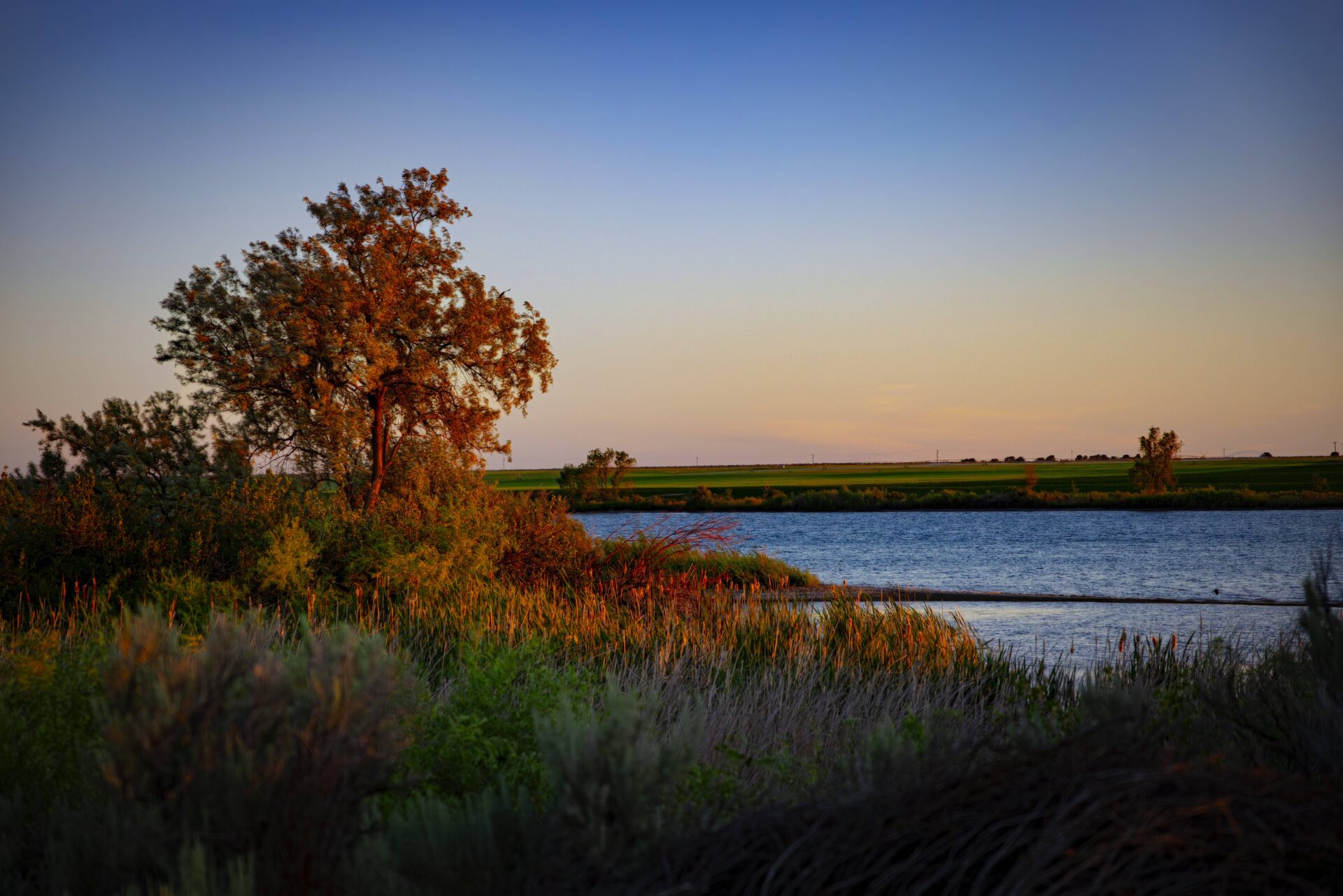 Sunrise on the Snake River
