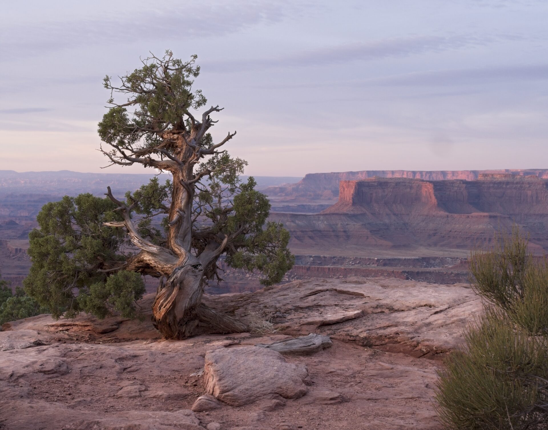 Standing Guard over Canyon Country