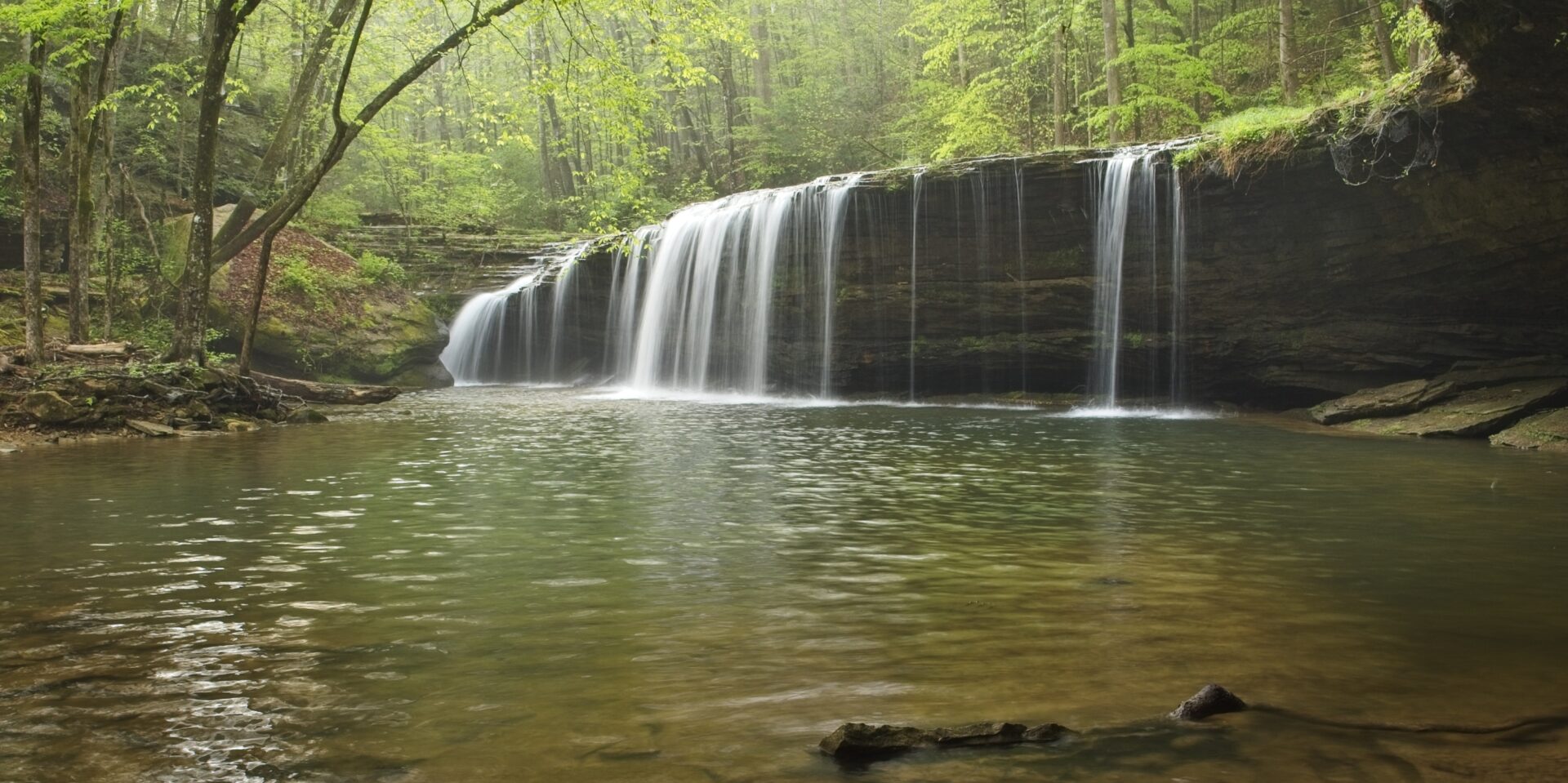 Kentucky Springtime Joy