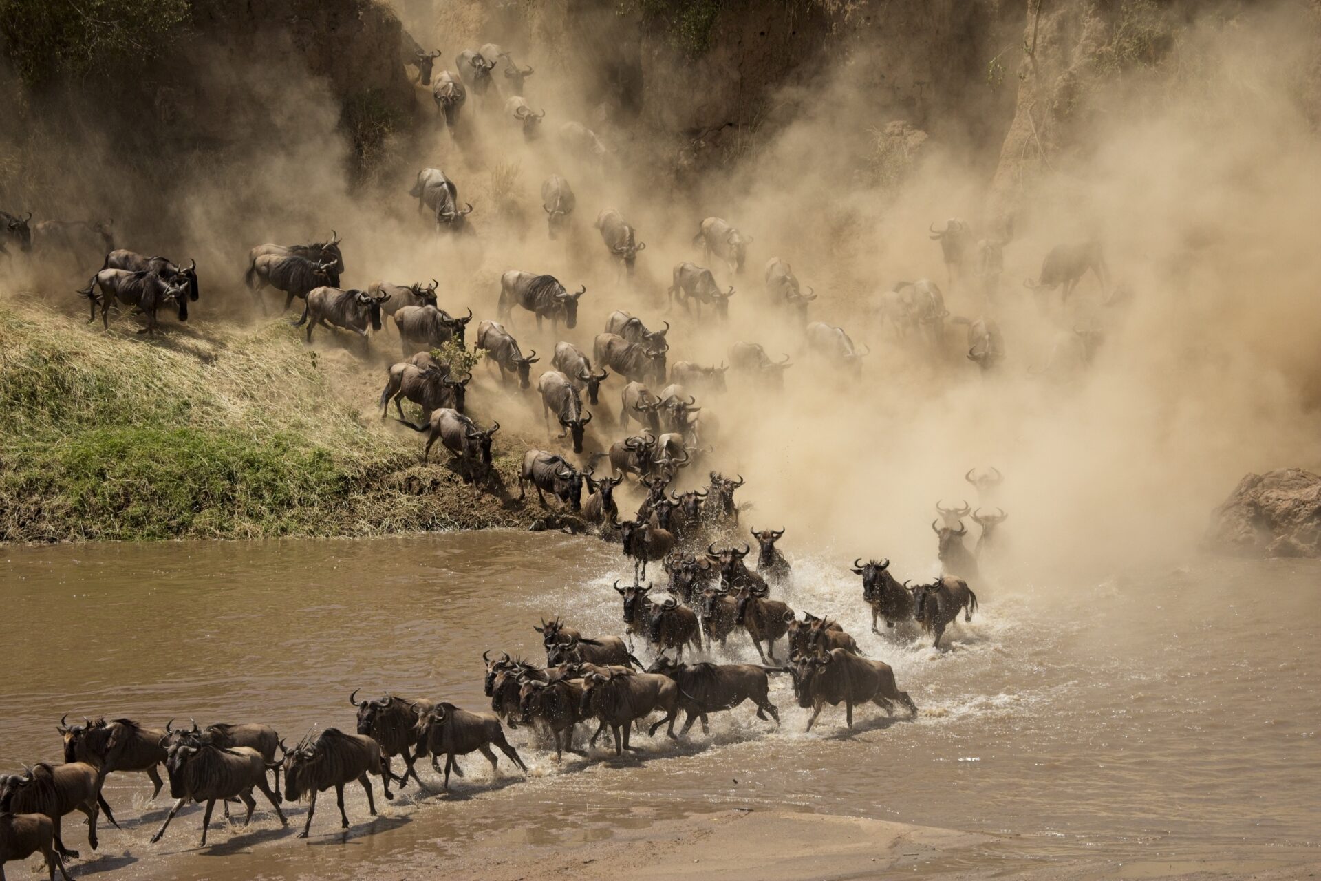 Rush Hour Traffic