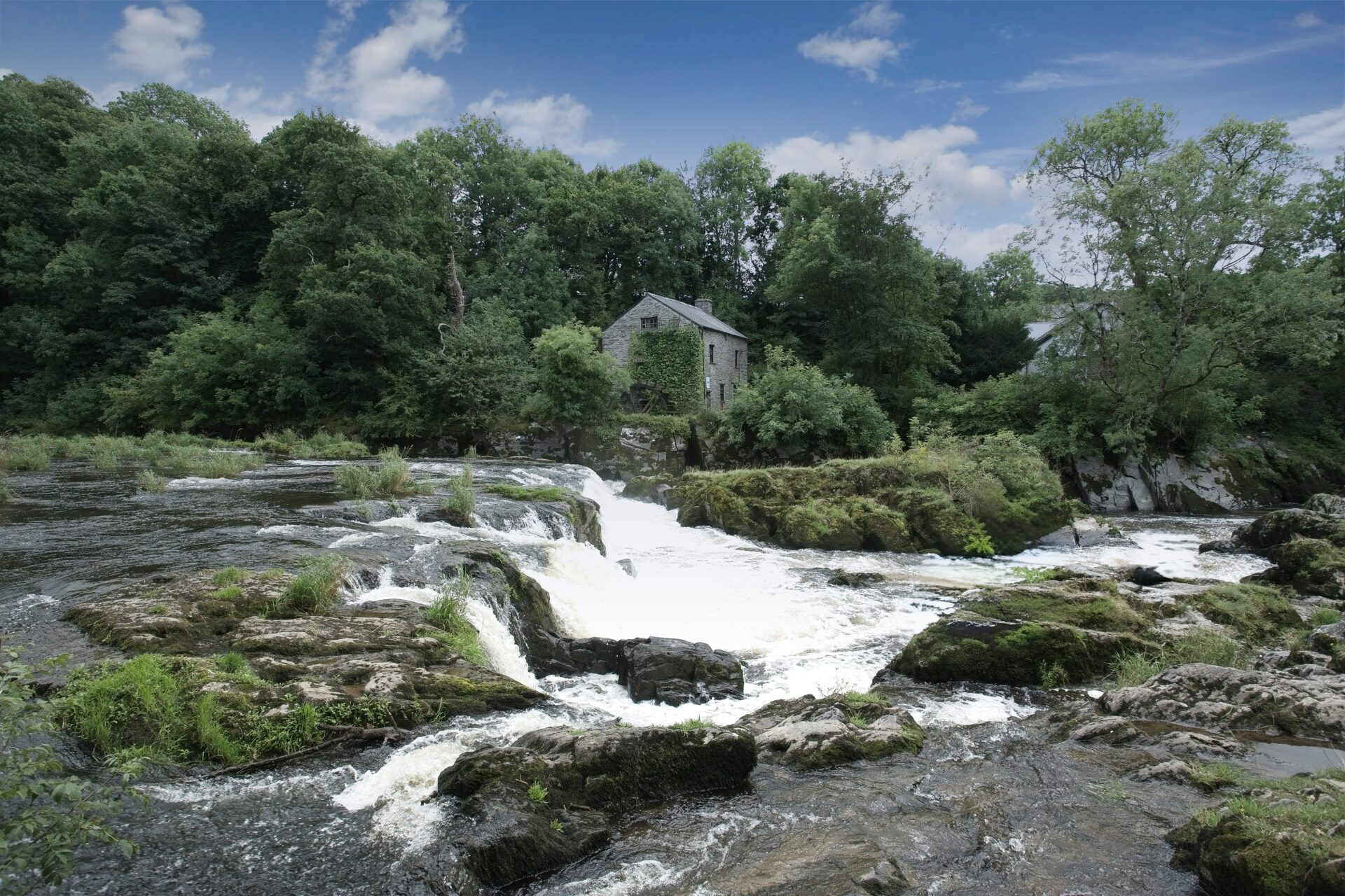 Cenarth Falls, Wales