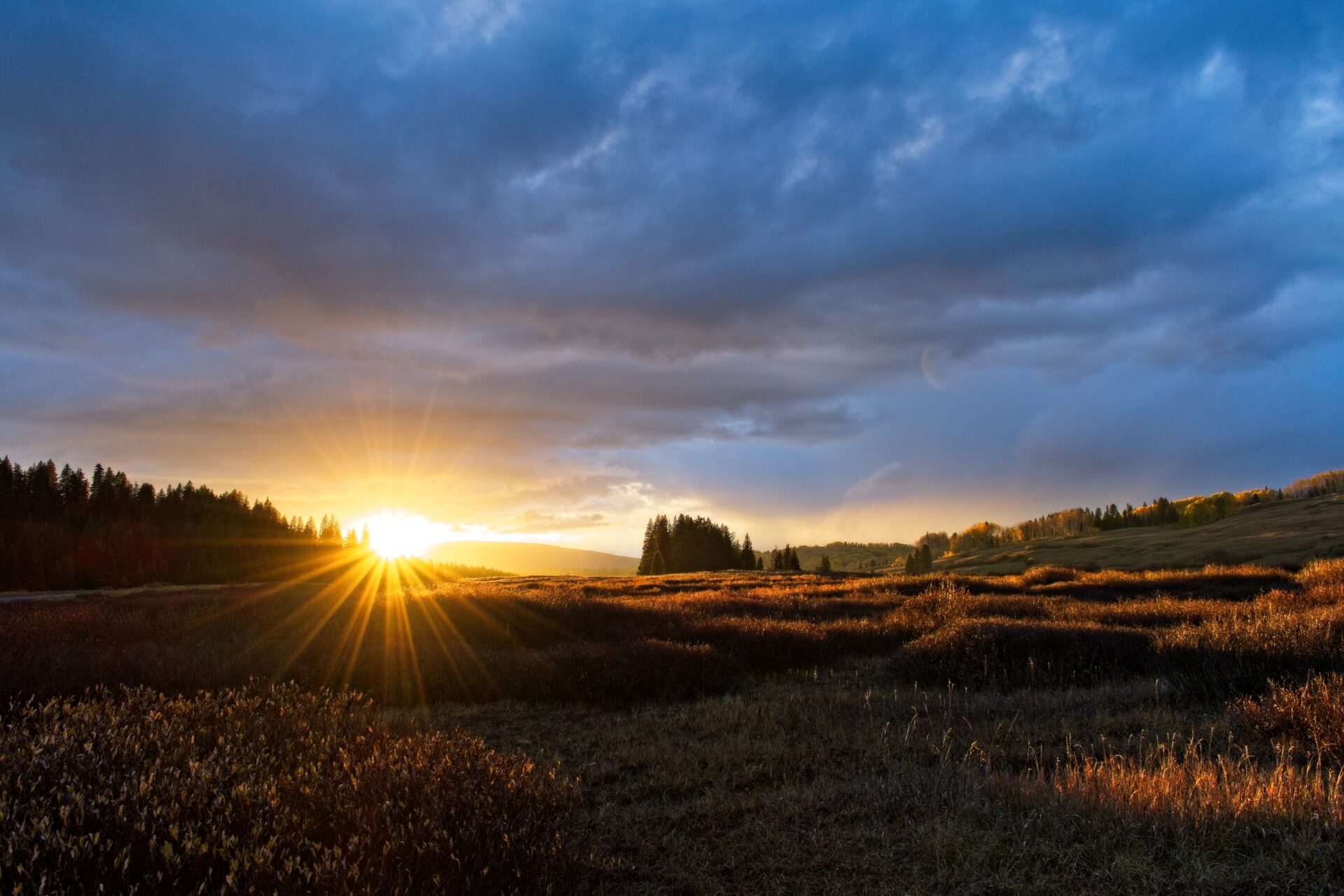 Telluride Sunset