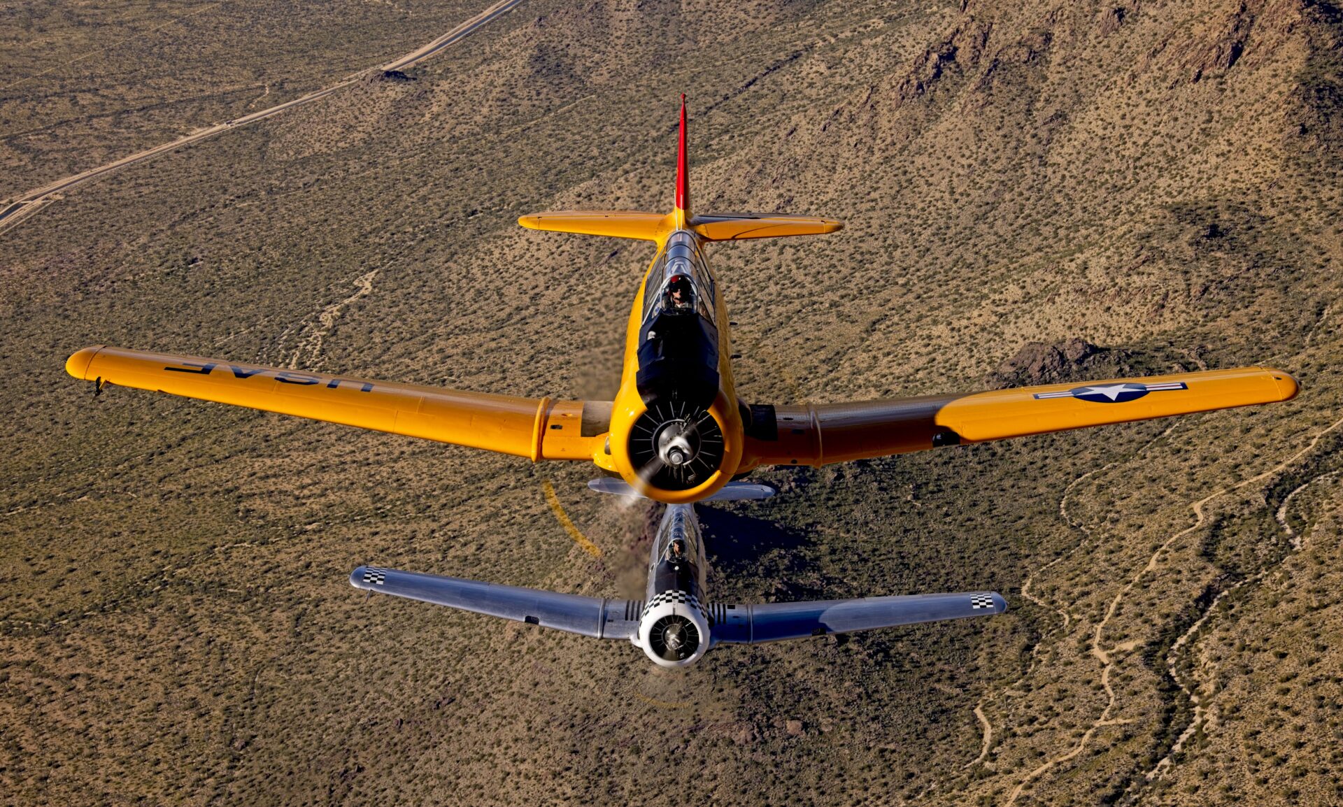 Flying High for A Photo