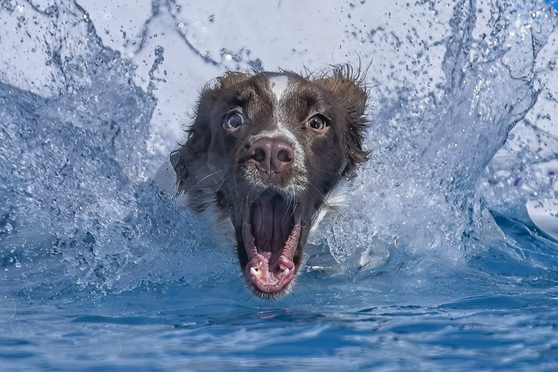 Splashdown