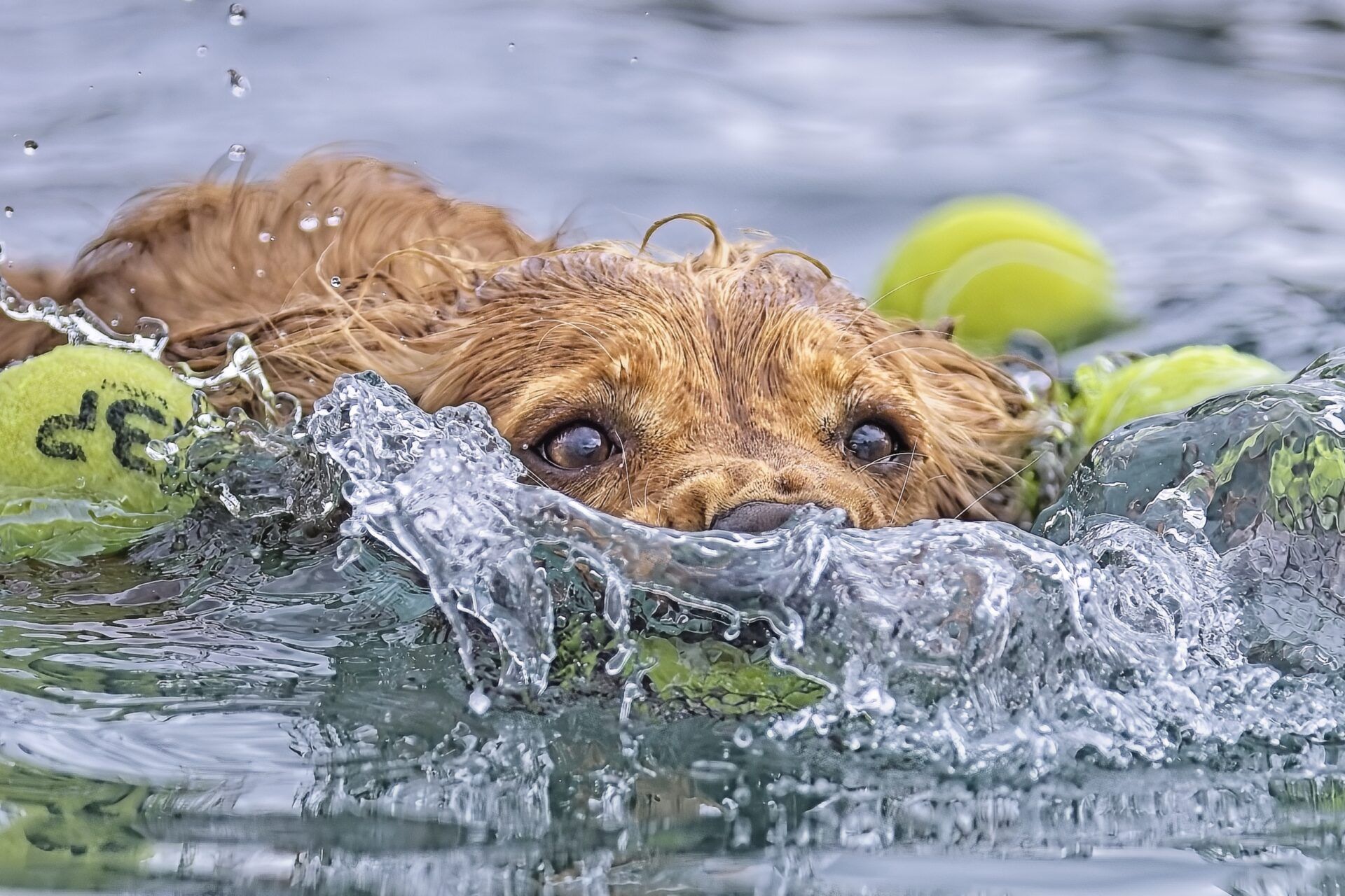 So Many Balls, So Little Time