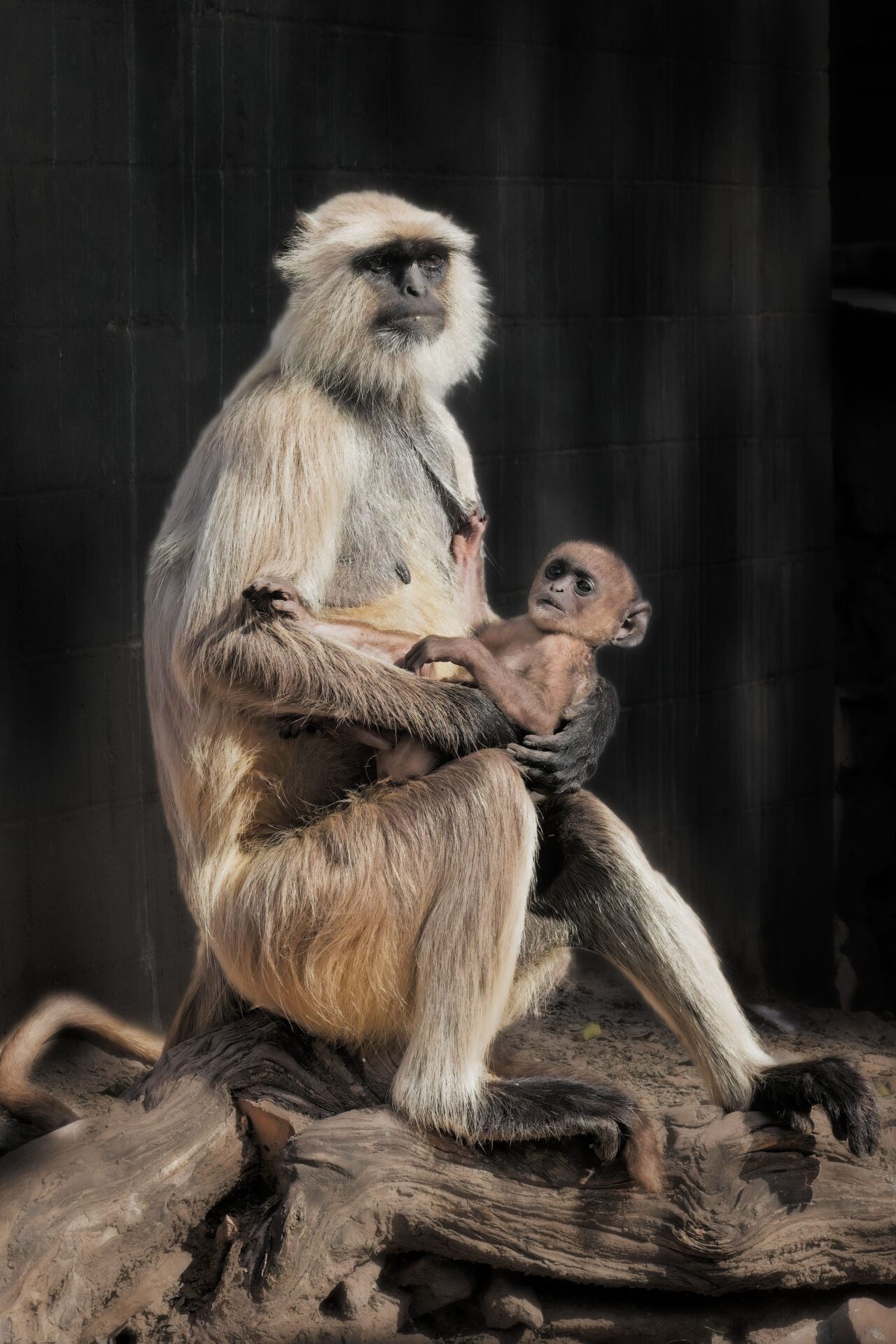 Beauty of a Mother’s Love