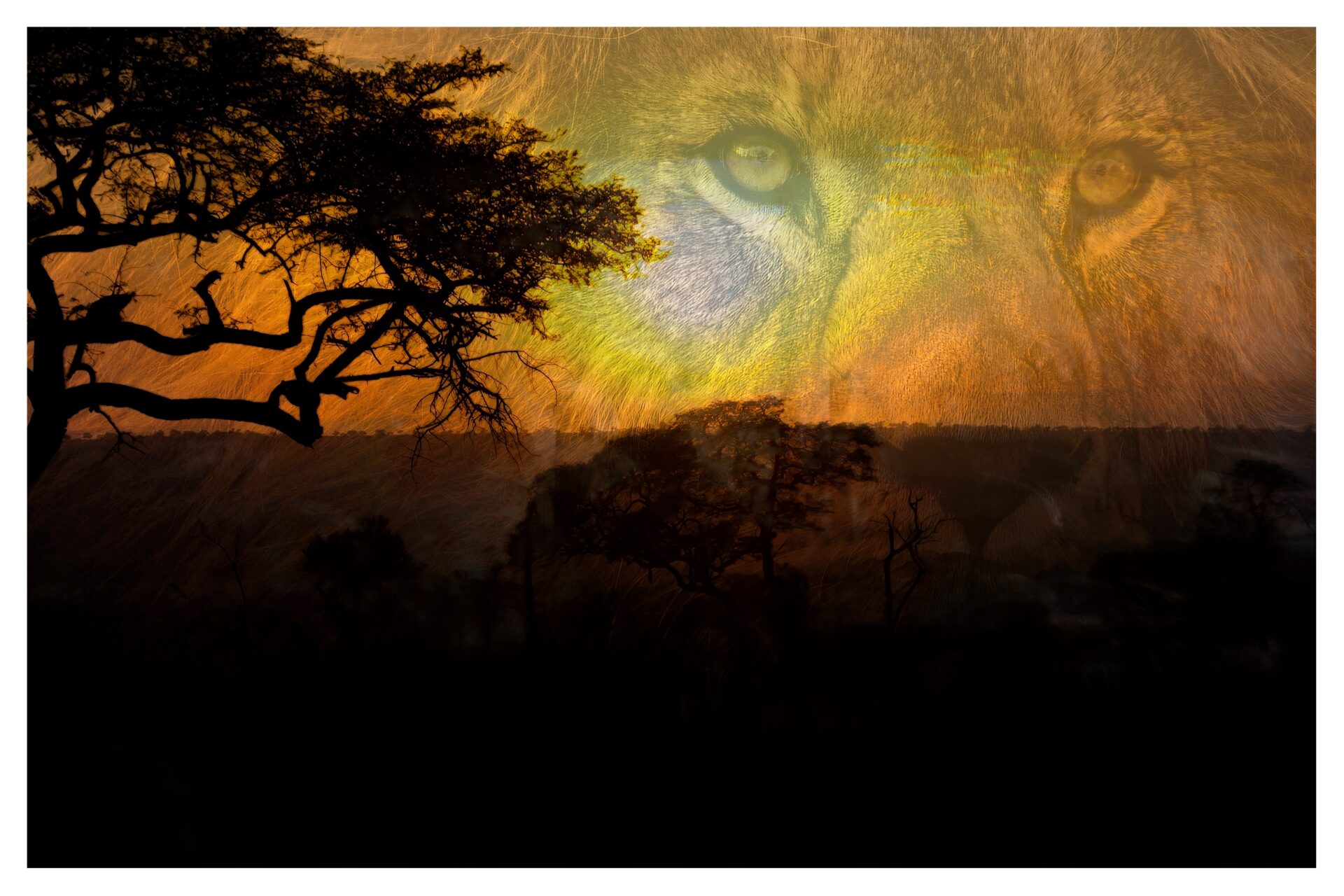 African sunset