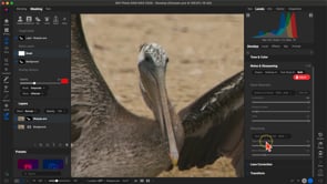 Rescue Your Photos Course