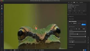 Rescue Your Photos Course