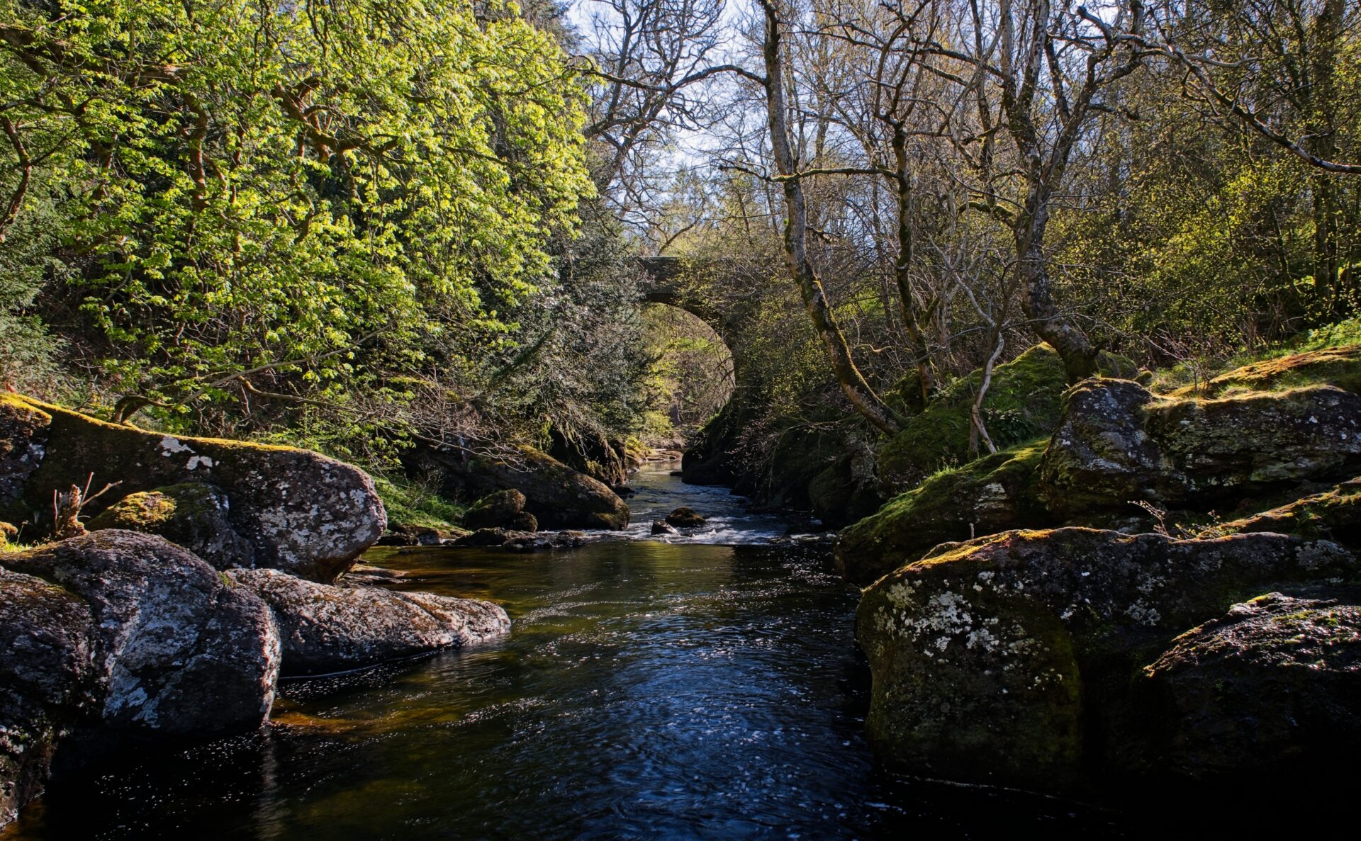 Buchanty Spout in spring