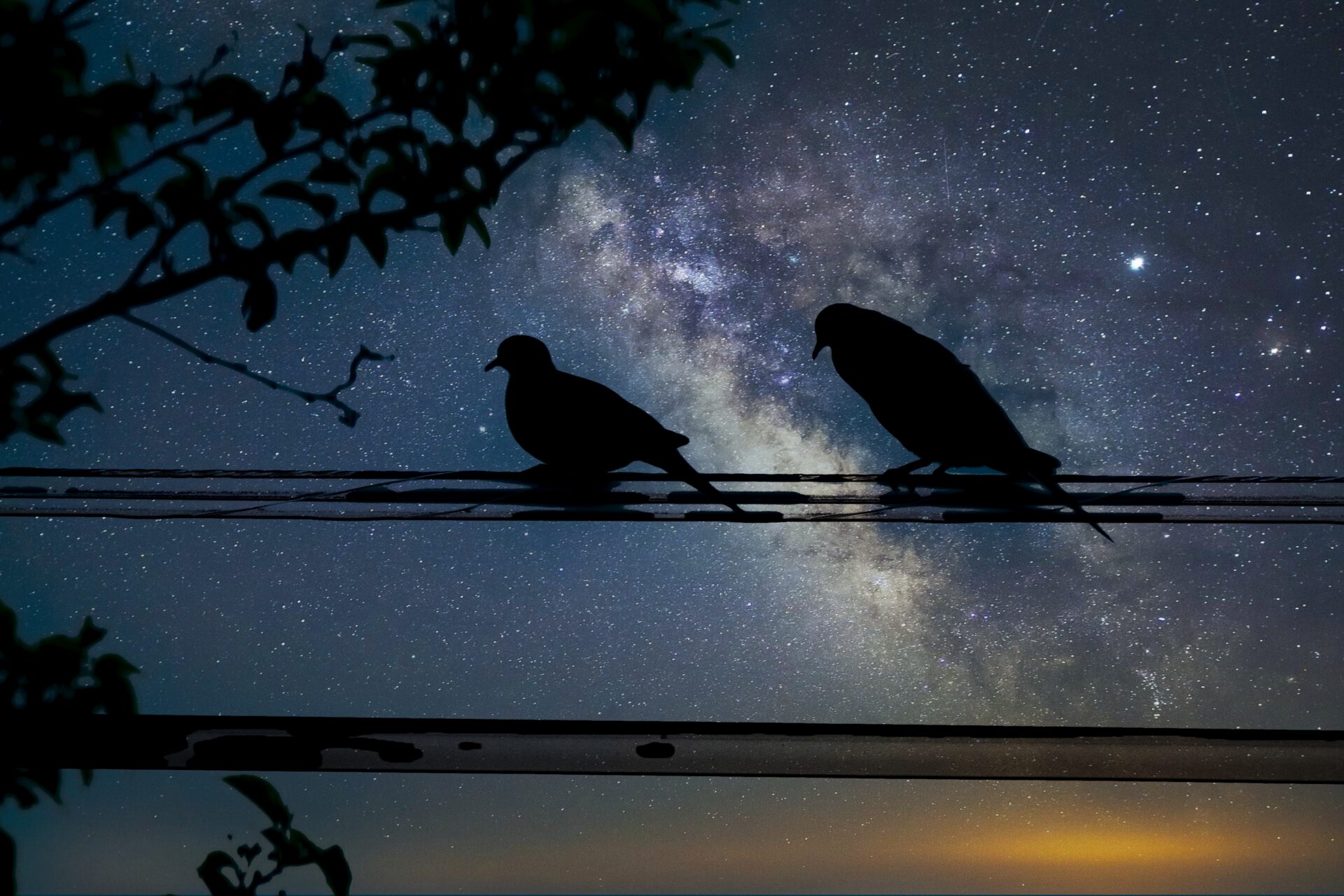 NIGHT STROLL