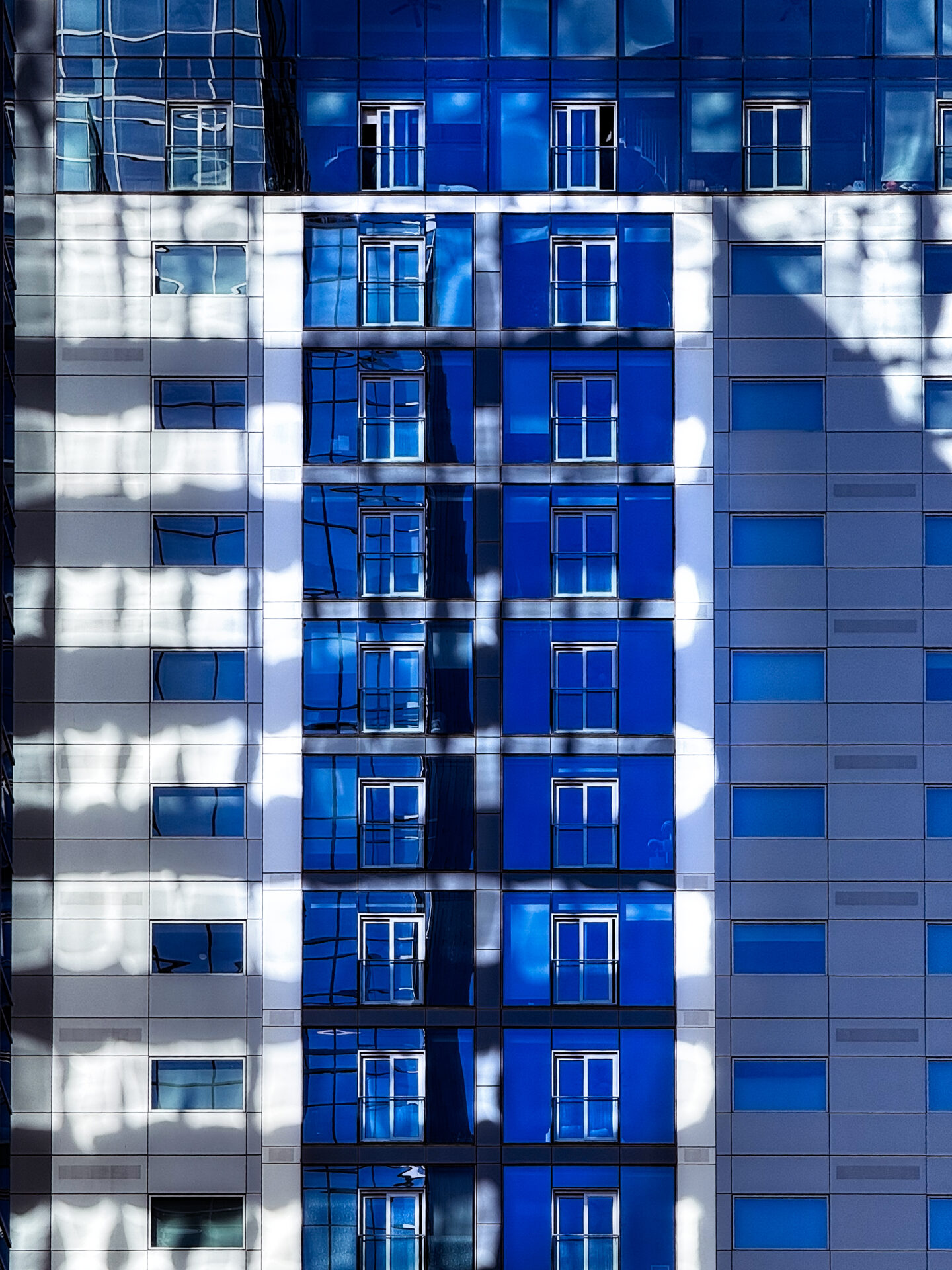 Phoenix Blue