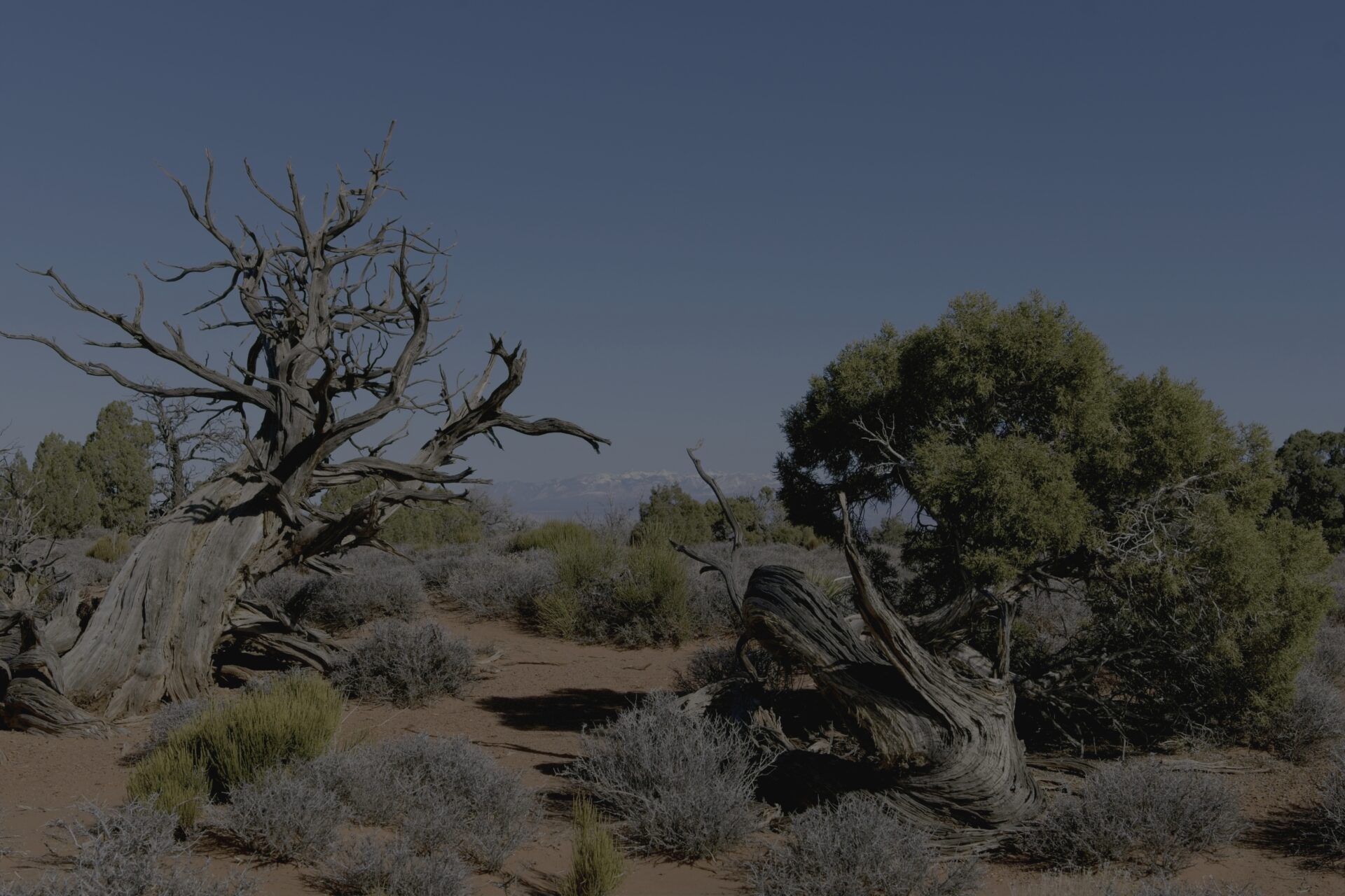 Dead Horse Point State Park