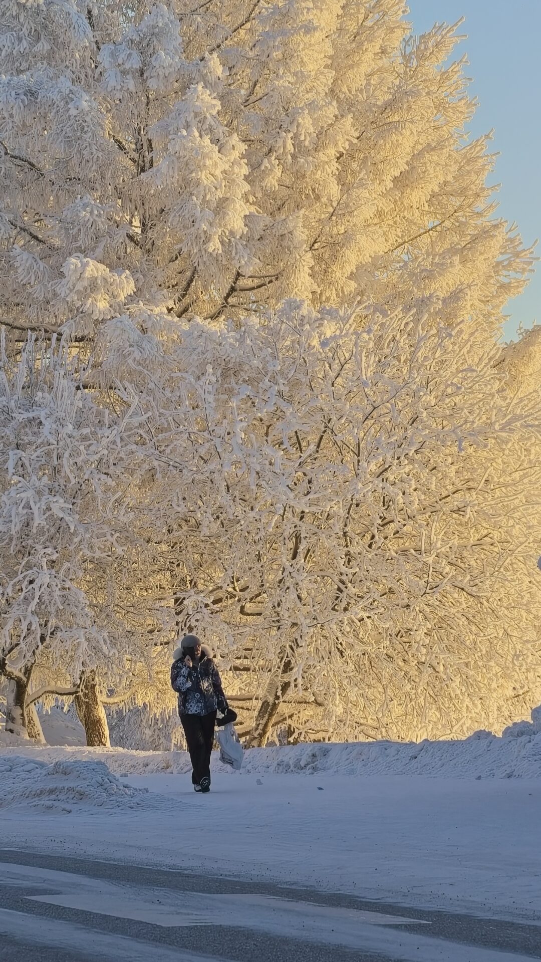 Winter 2